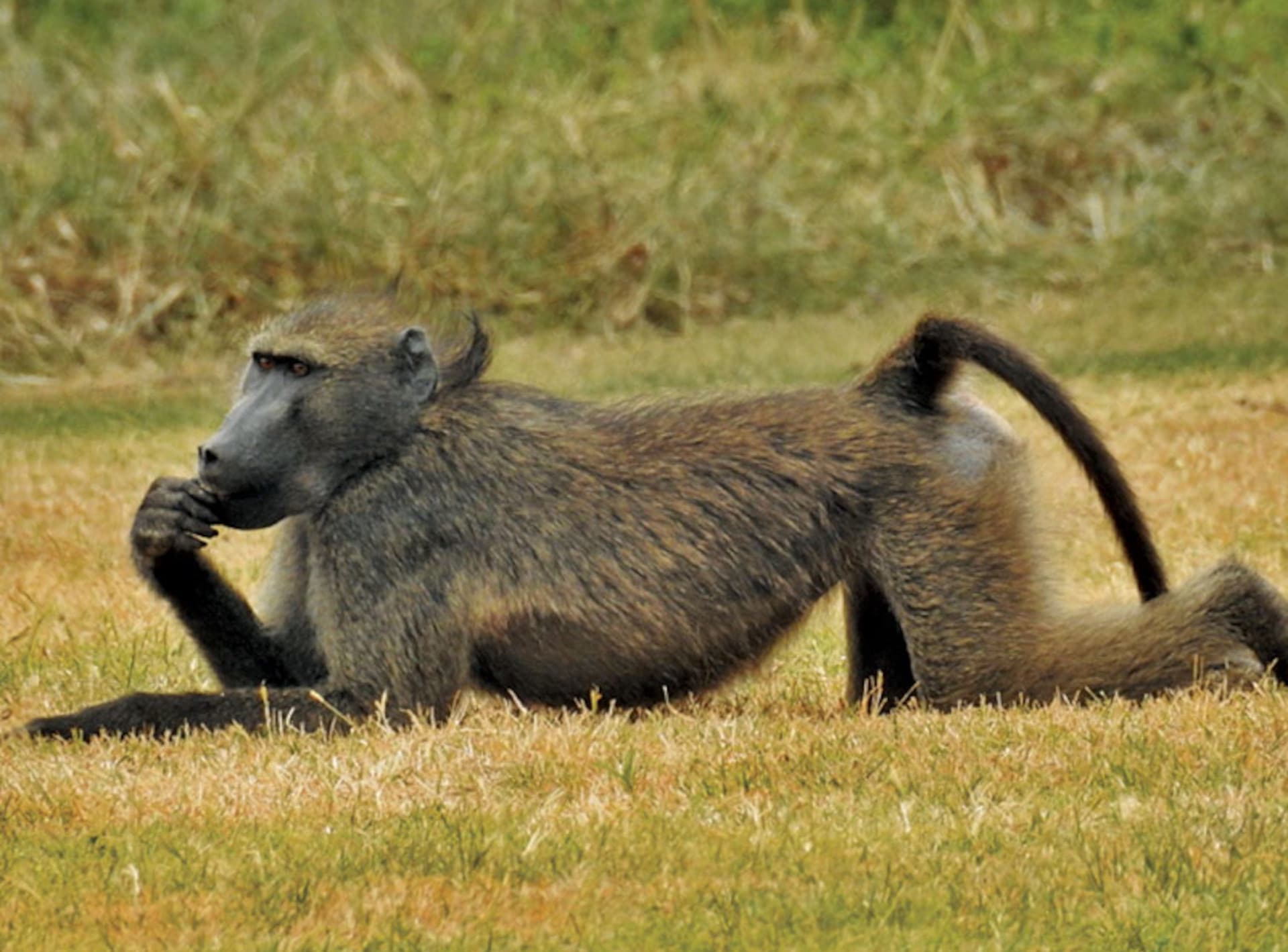Thula Thula Game Reserve