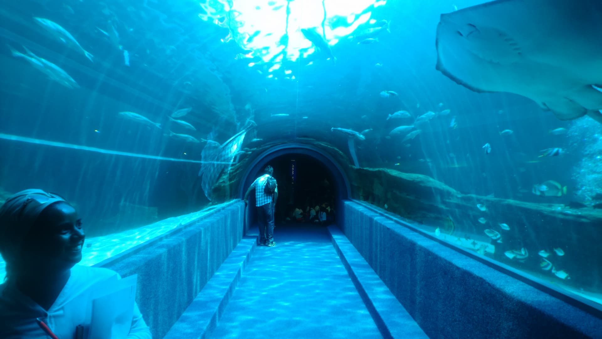 Two Oceans Aquarium