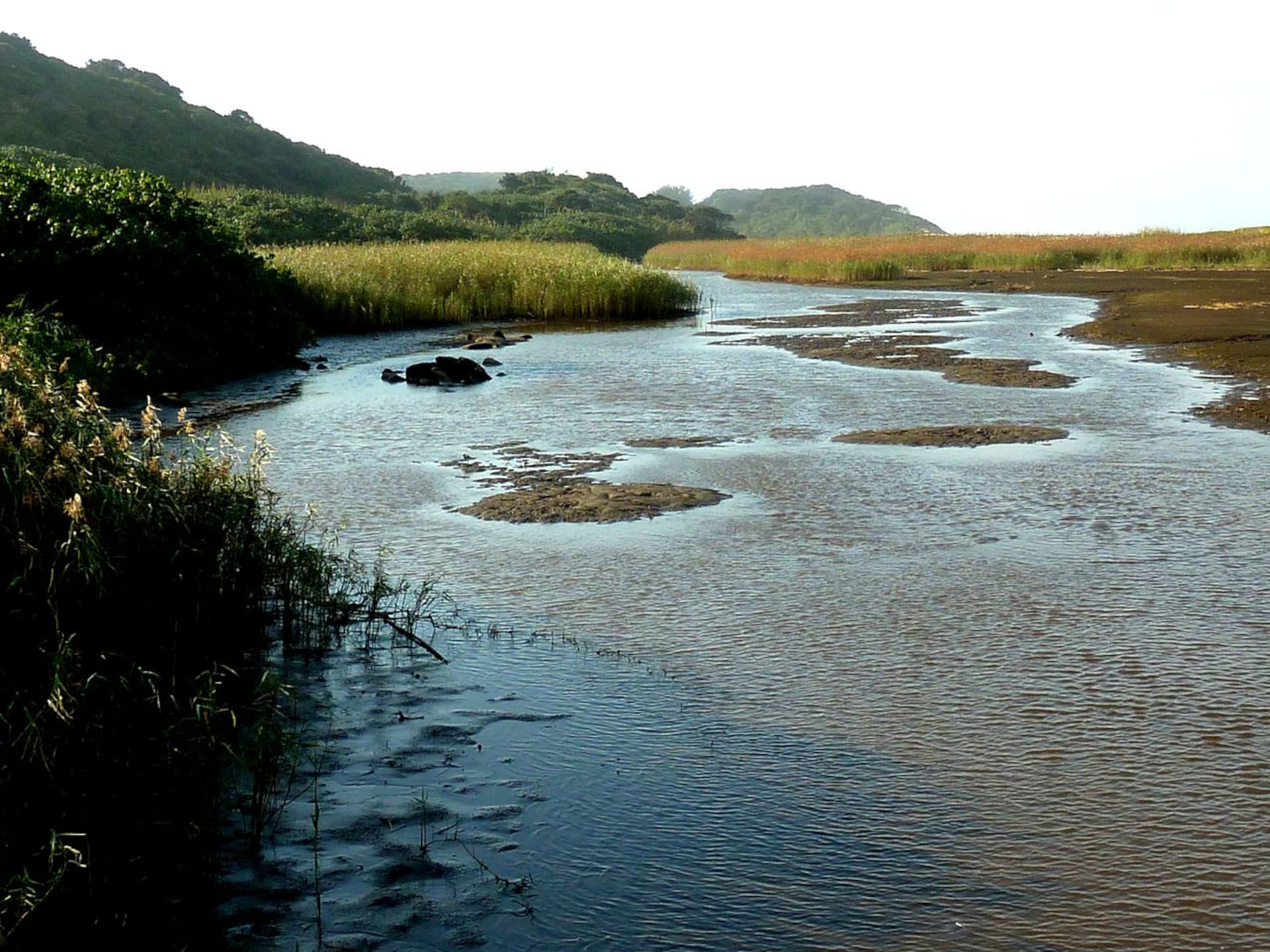 Umhlanga Lagoon Nature Reserve KwaZulu-Natal South-Africa
