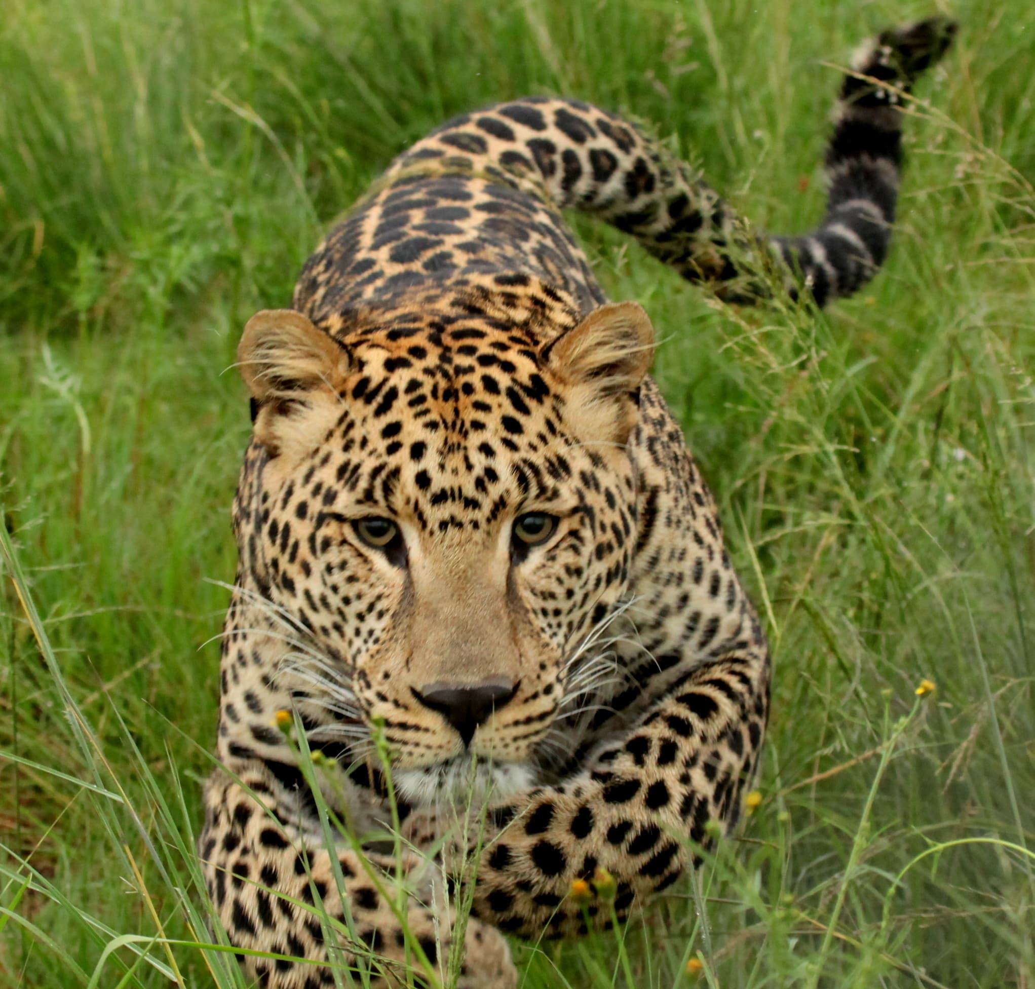 Umtamvuna Nature Reserve