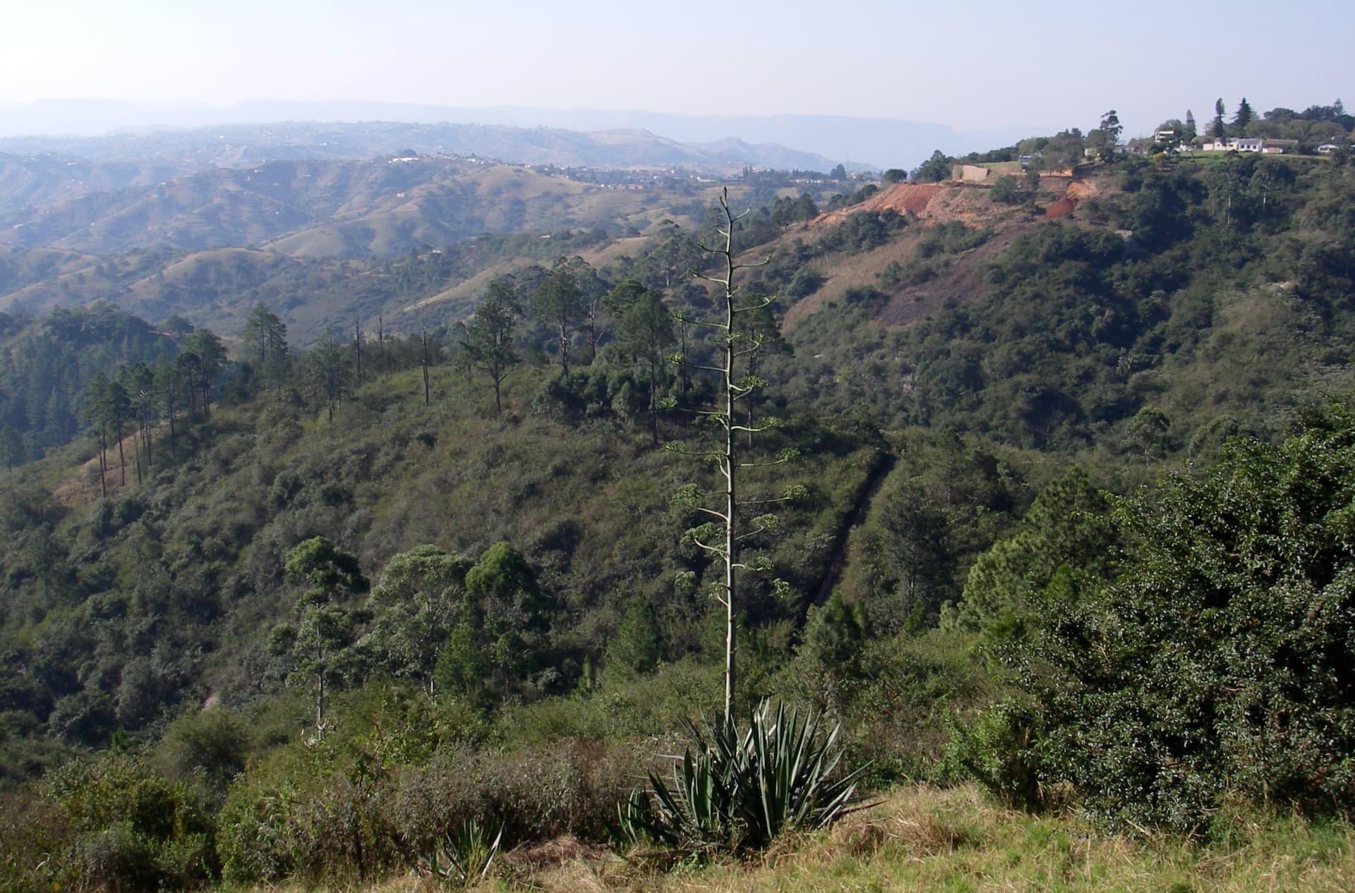 Come to The Valley Of 1000 Hills in KwaZulu-Natal, South Africa