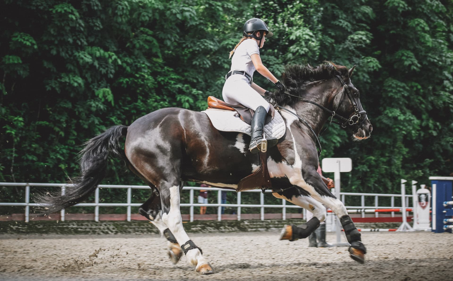 Verloren Vallei Nature Reserve