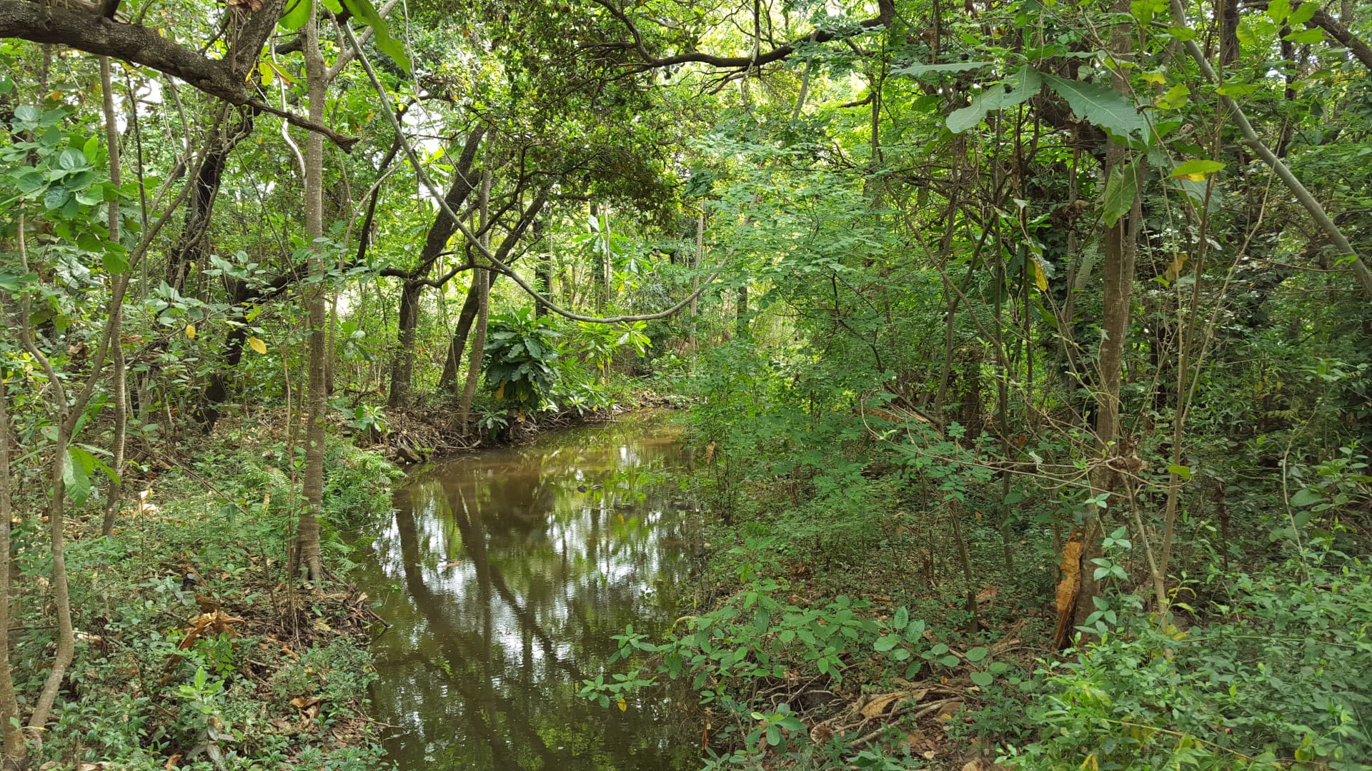 Vernon Crookes Nature Reserve, KwaZulu-Natal South Africa