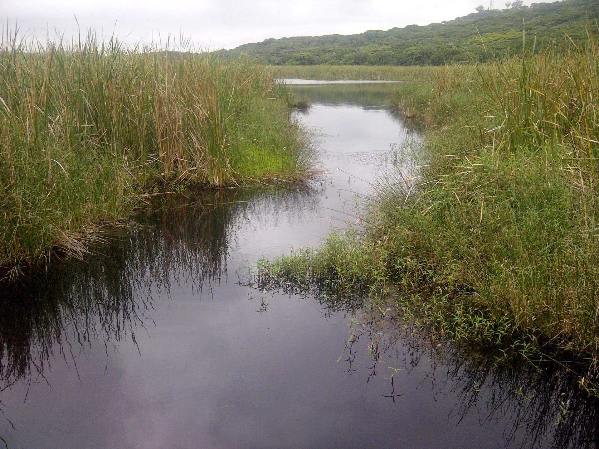Vryheid Hill Nature Reserve, KwaZulu-Natal South Africa