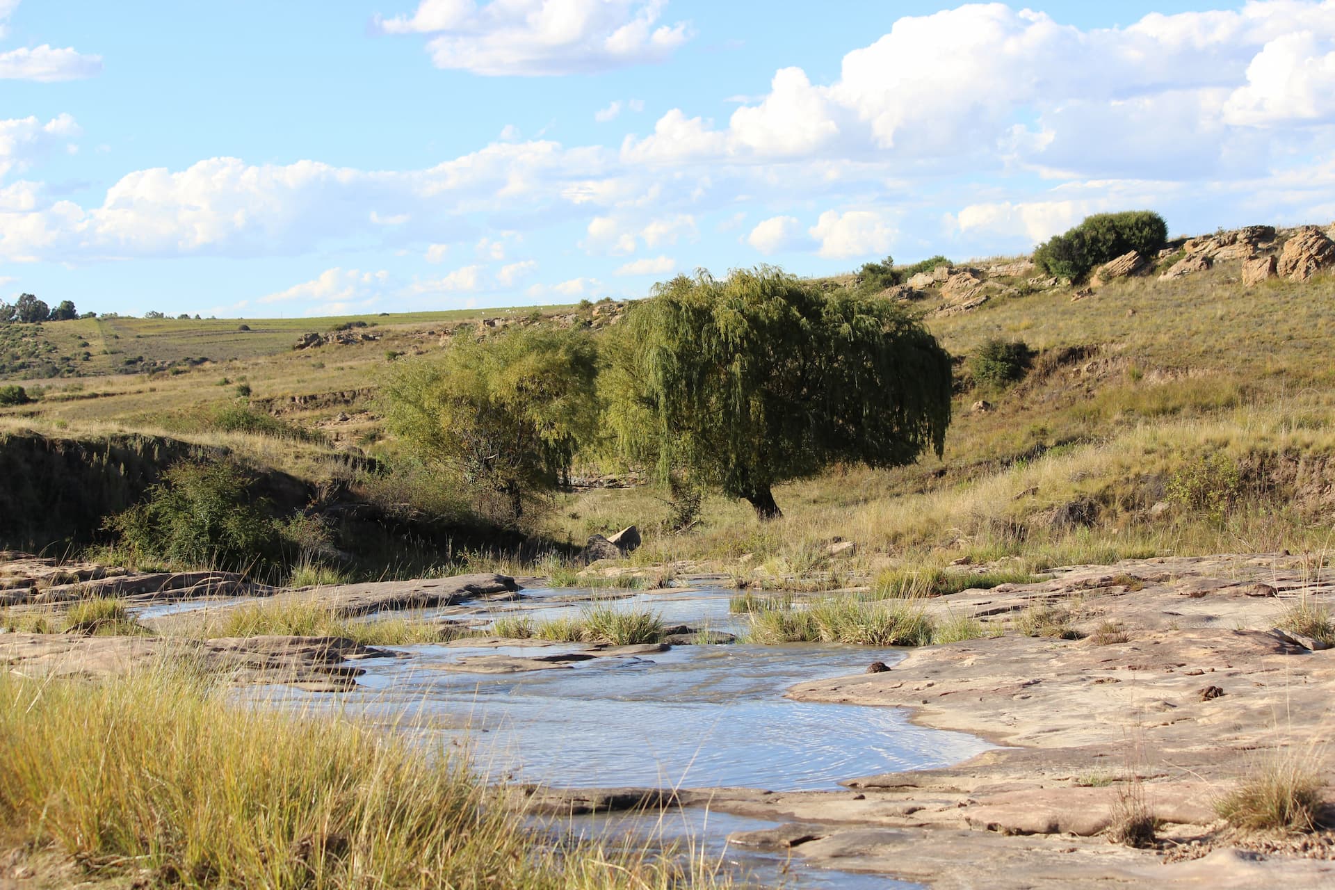 Willem Pretorius Game Reserve