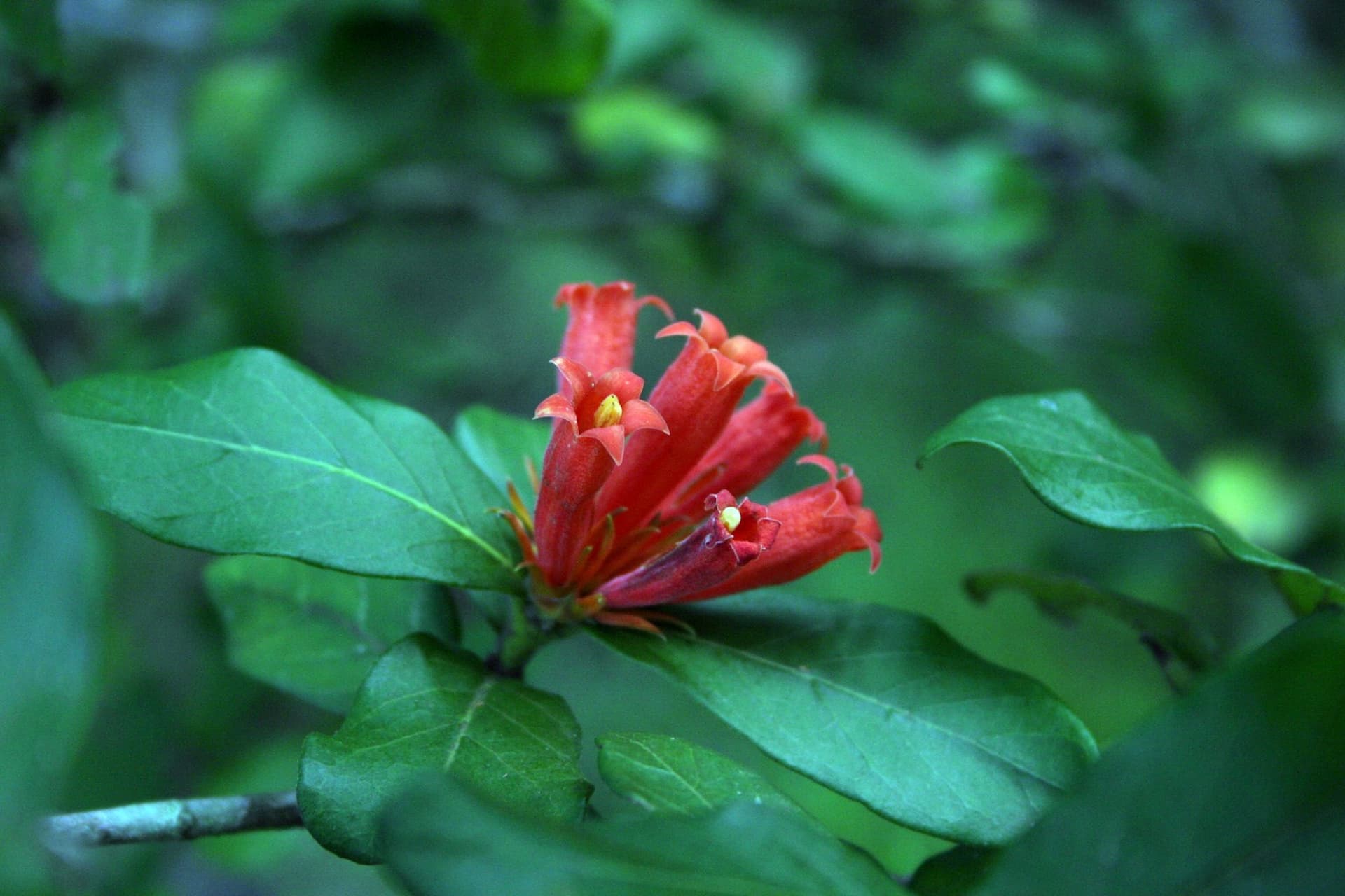 Wolkberg Wilderness Area