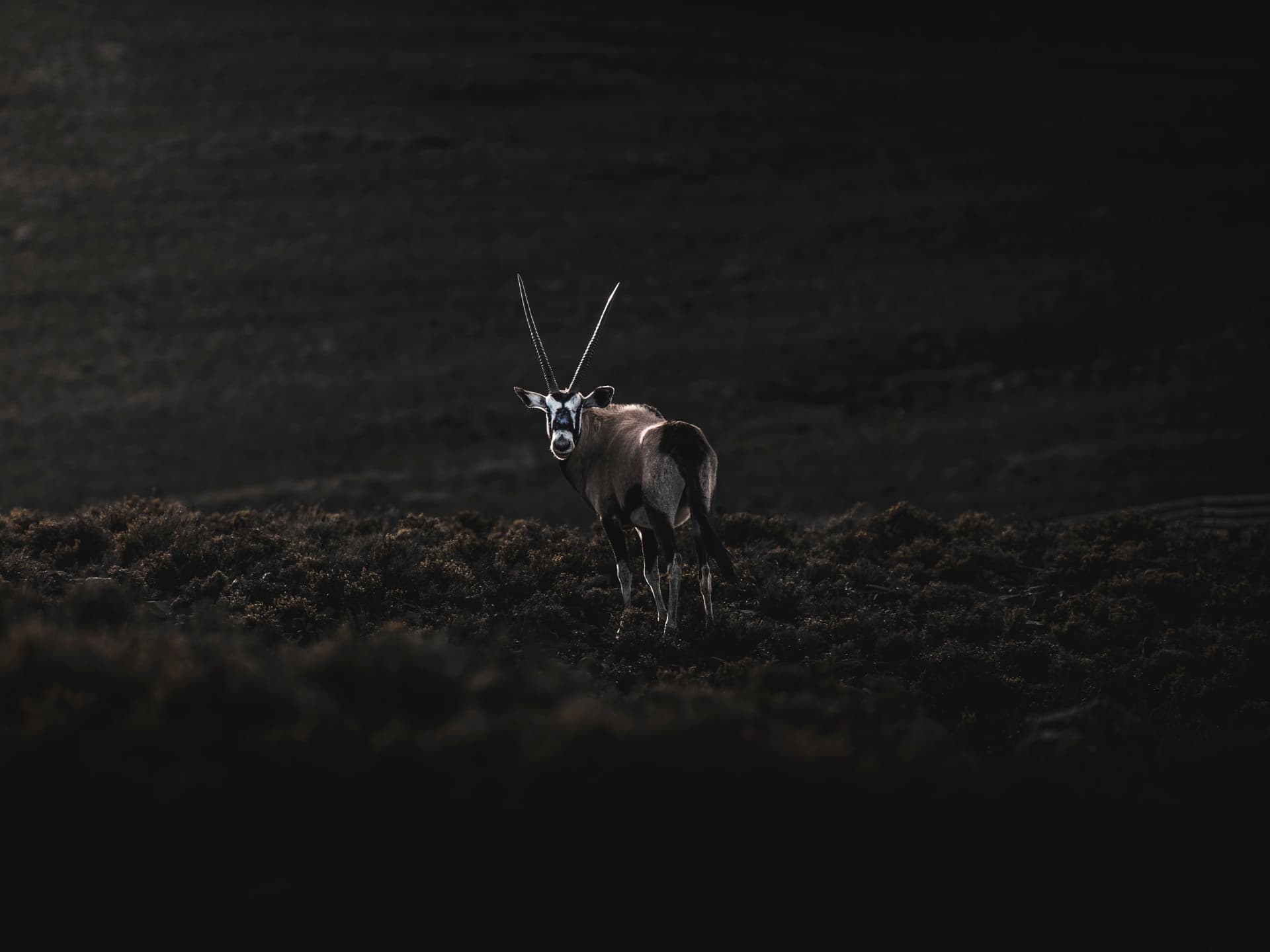 The Karoo Gariep Conservancy