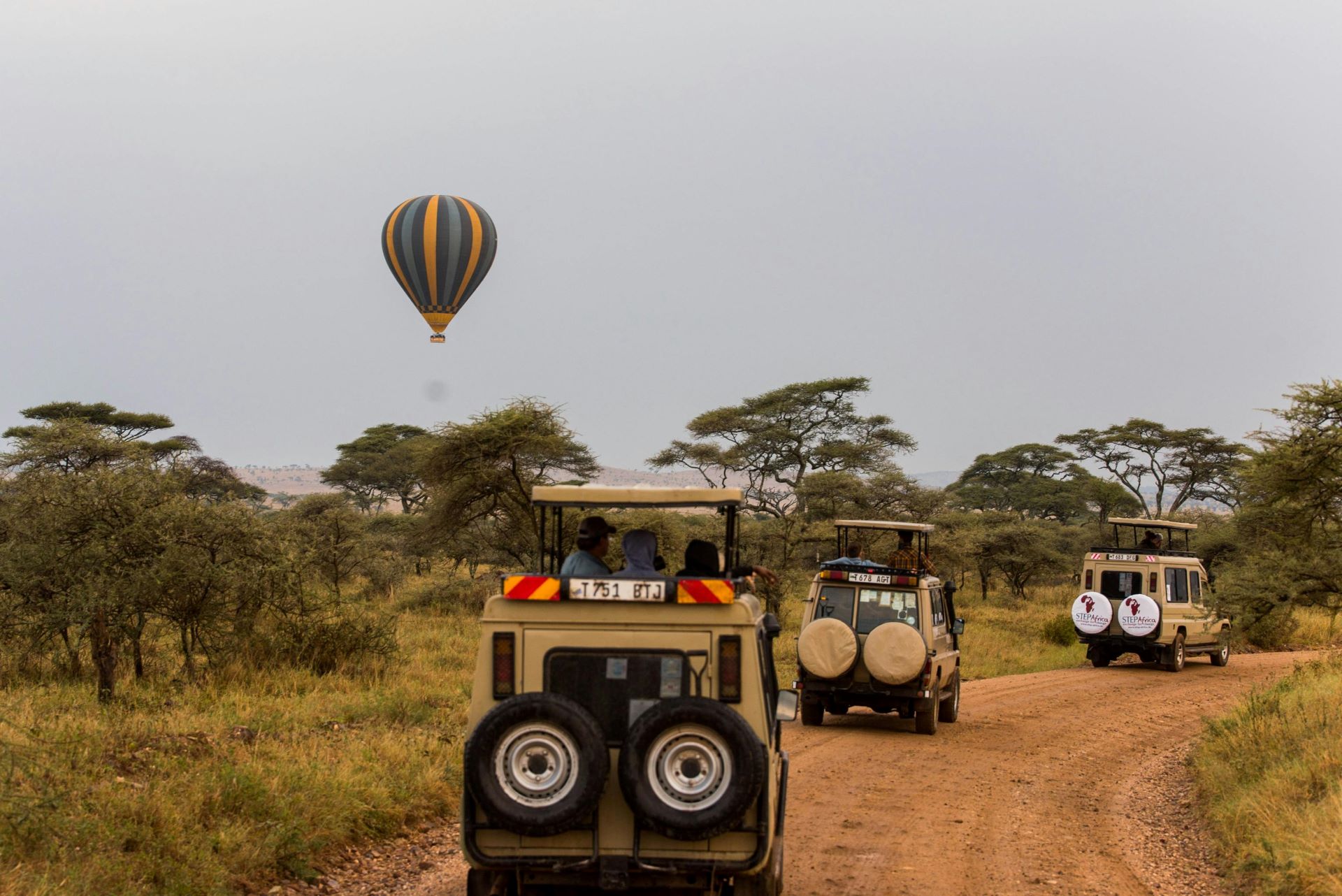 Choosing the Right Safari Vehicle Experience-2