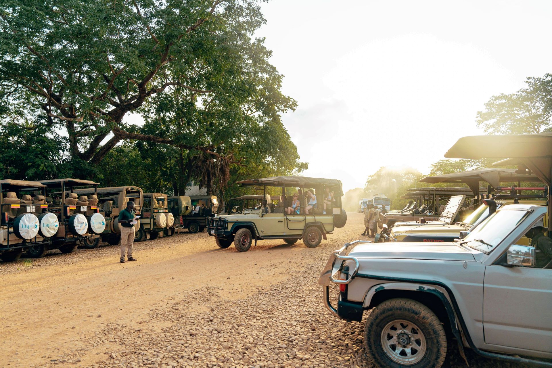 Choosing the Right Safari Vehicle Experience