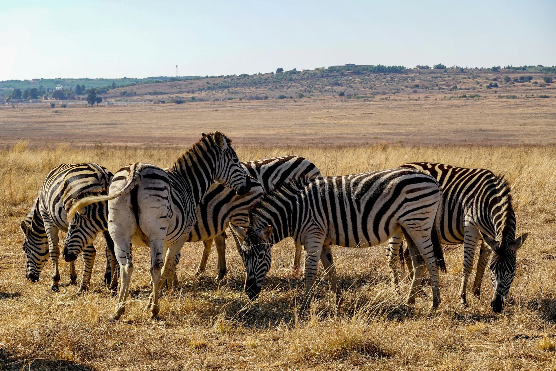 a-budget-travelers-guide-to-south-africa.jpg