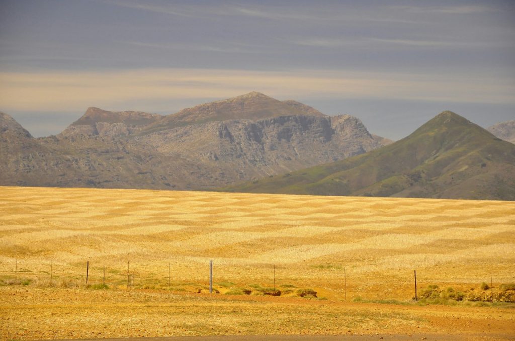 allesverloren-wine-estate-western-cape-1024x680.jpg