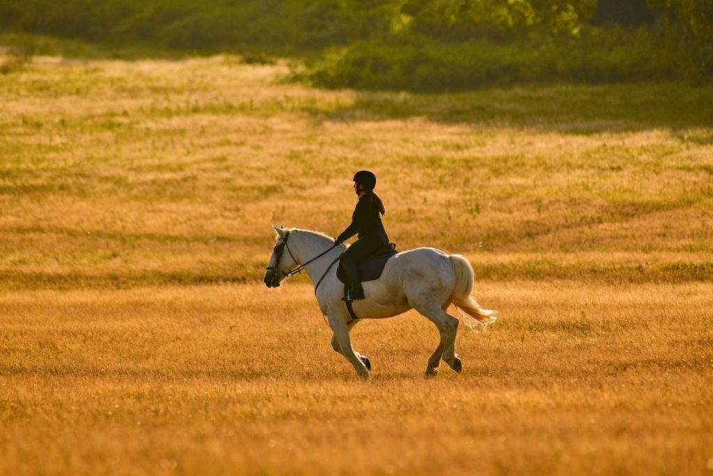 amathole-horse-trails-2-1024x683.jpg