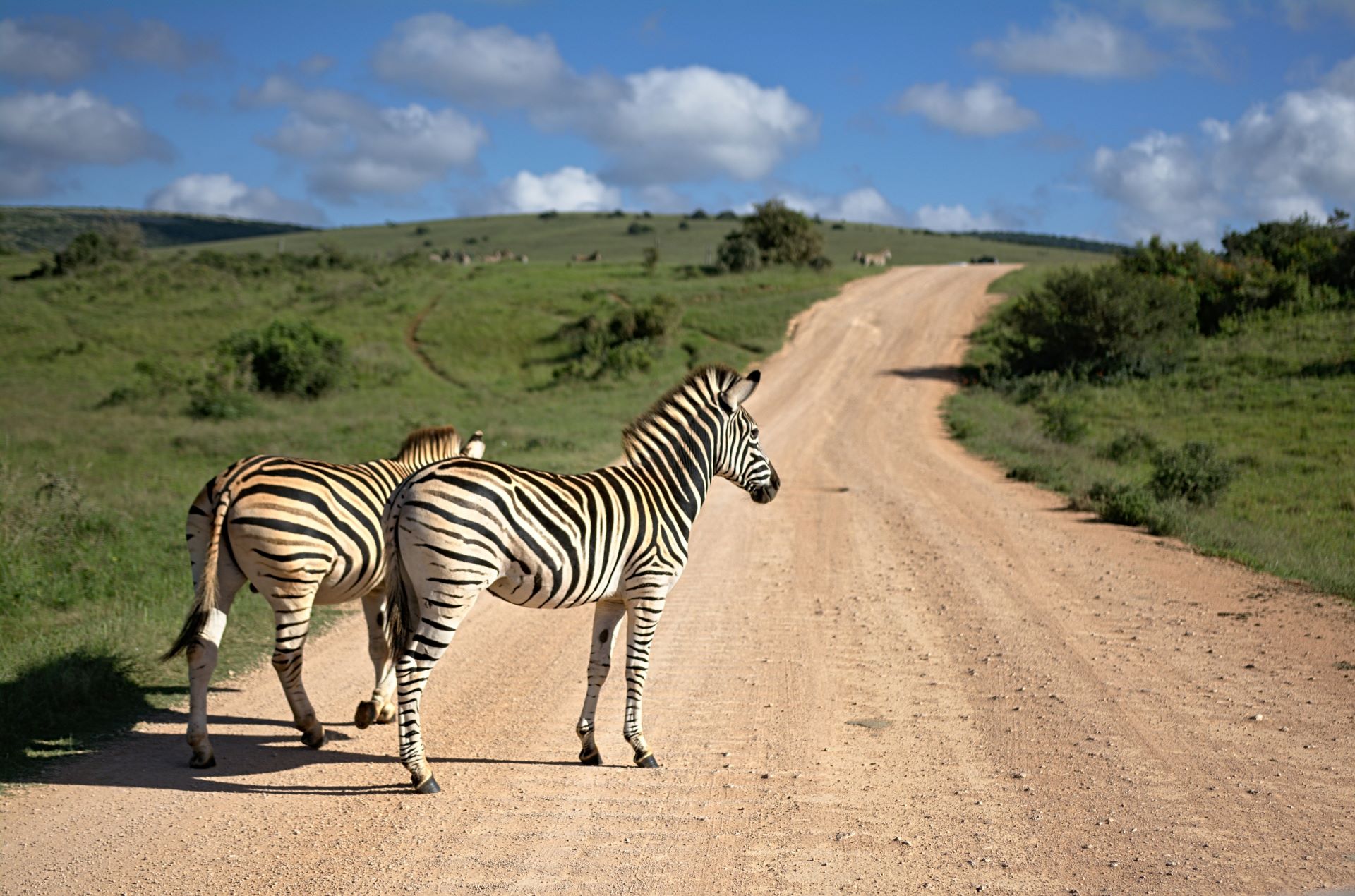 backpacking-south-africa-budget-friendly-routes-and-hostels-2