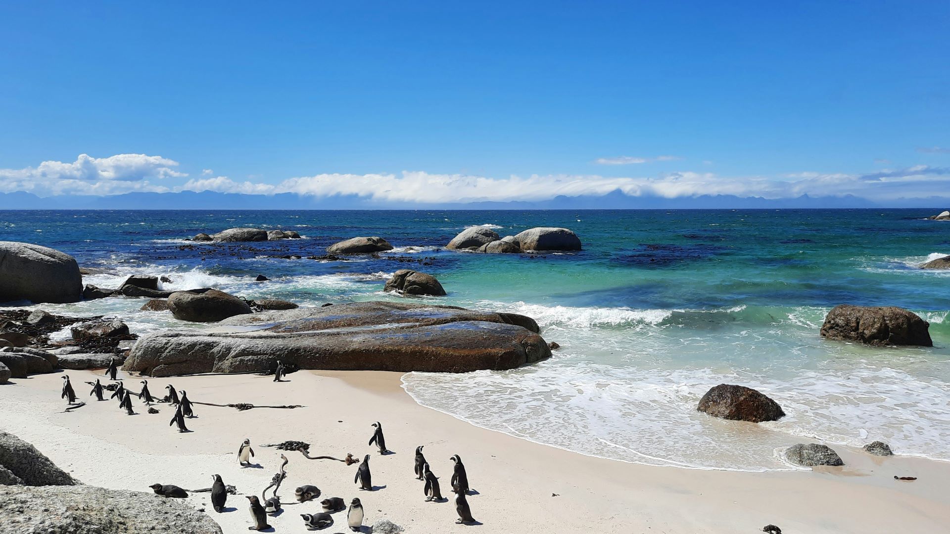 best-wildlife-photography-spots-in-south-africa-today-2