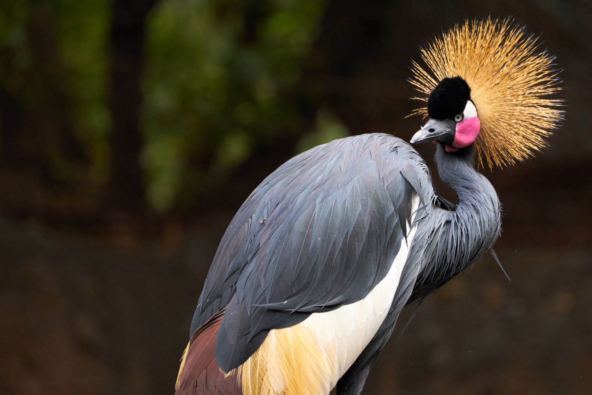 best-wildlife-photography-spots-in-south-africa-today