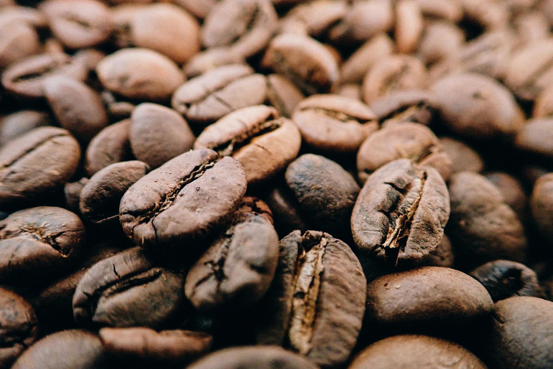 cape-towns-coffee-culture-hidden-cafes-specialty-brews-and-local-artisans-1
