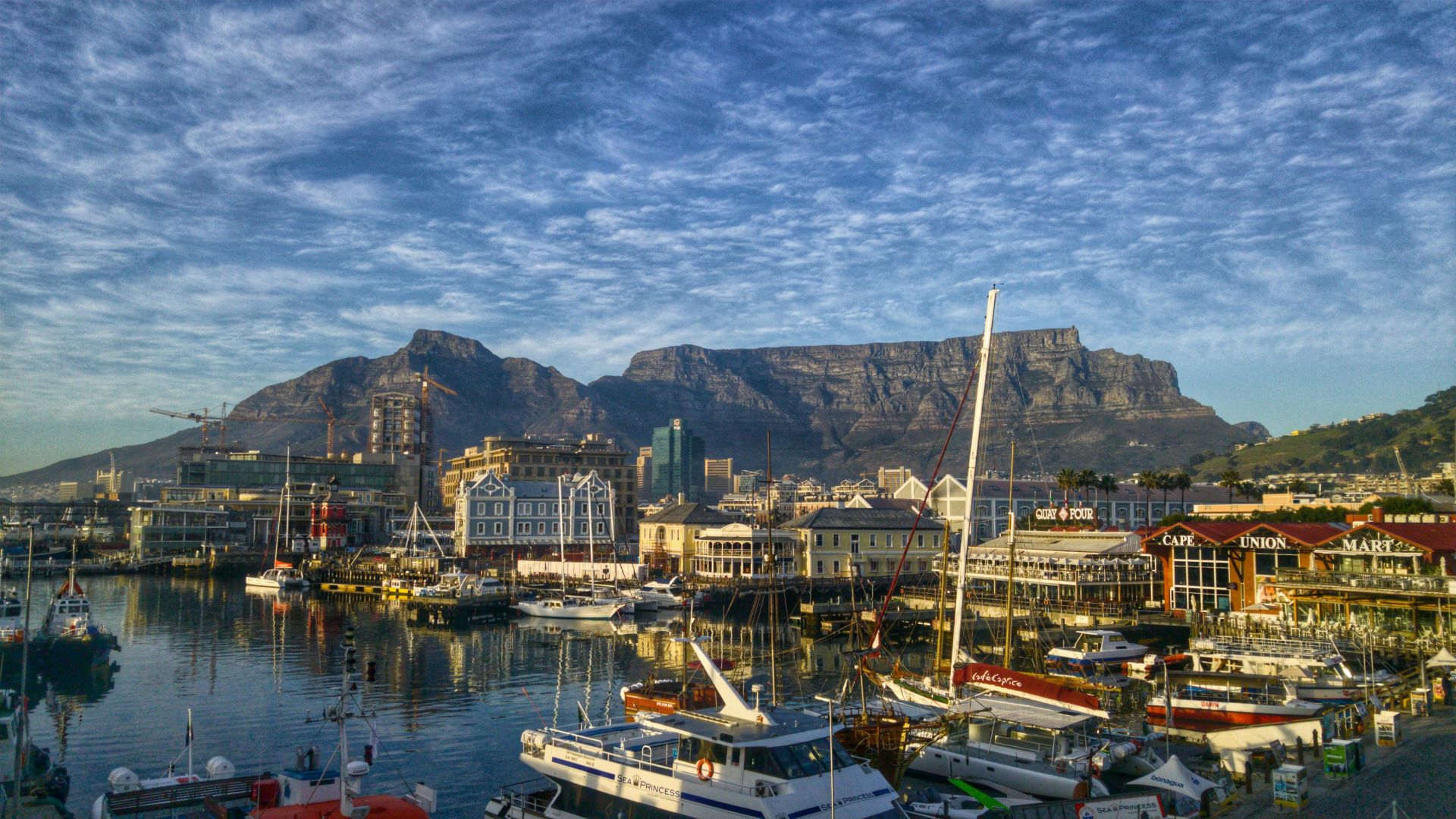 cape-towns-coffee-culture-hidden-cafes-specialty-brews-and-local-artisans-2