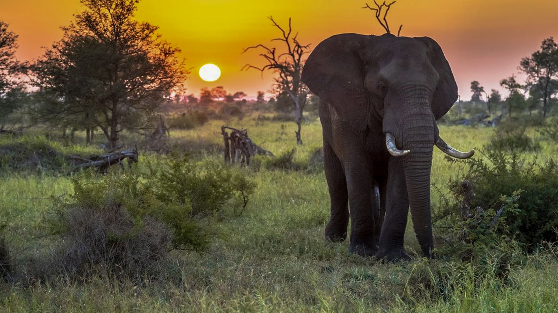 Combine Scenery With a Kruger Safari