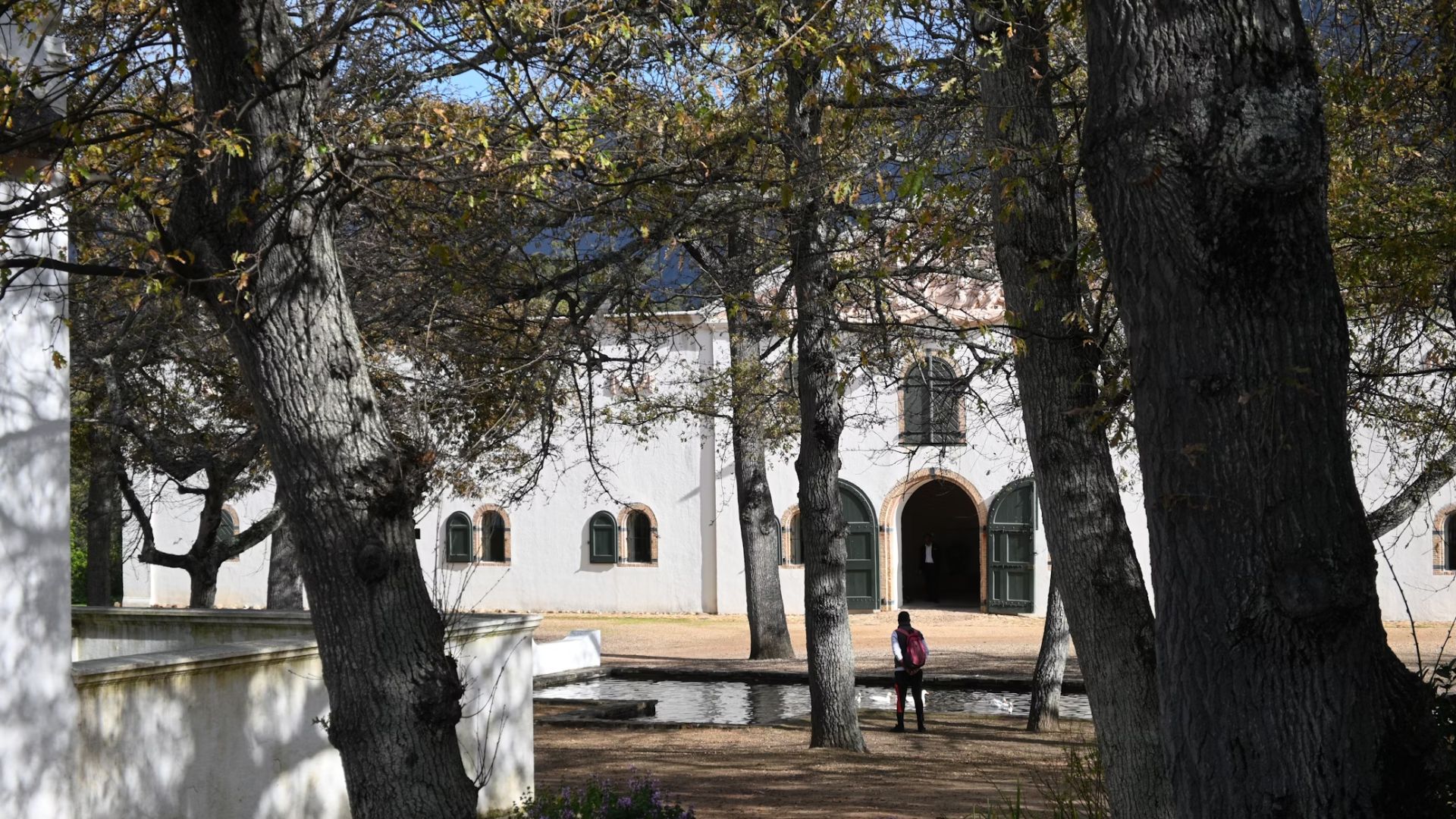 constantia.jpg