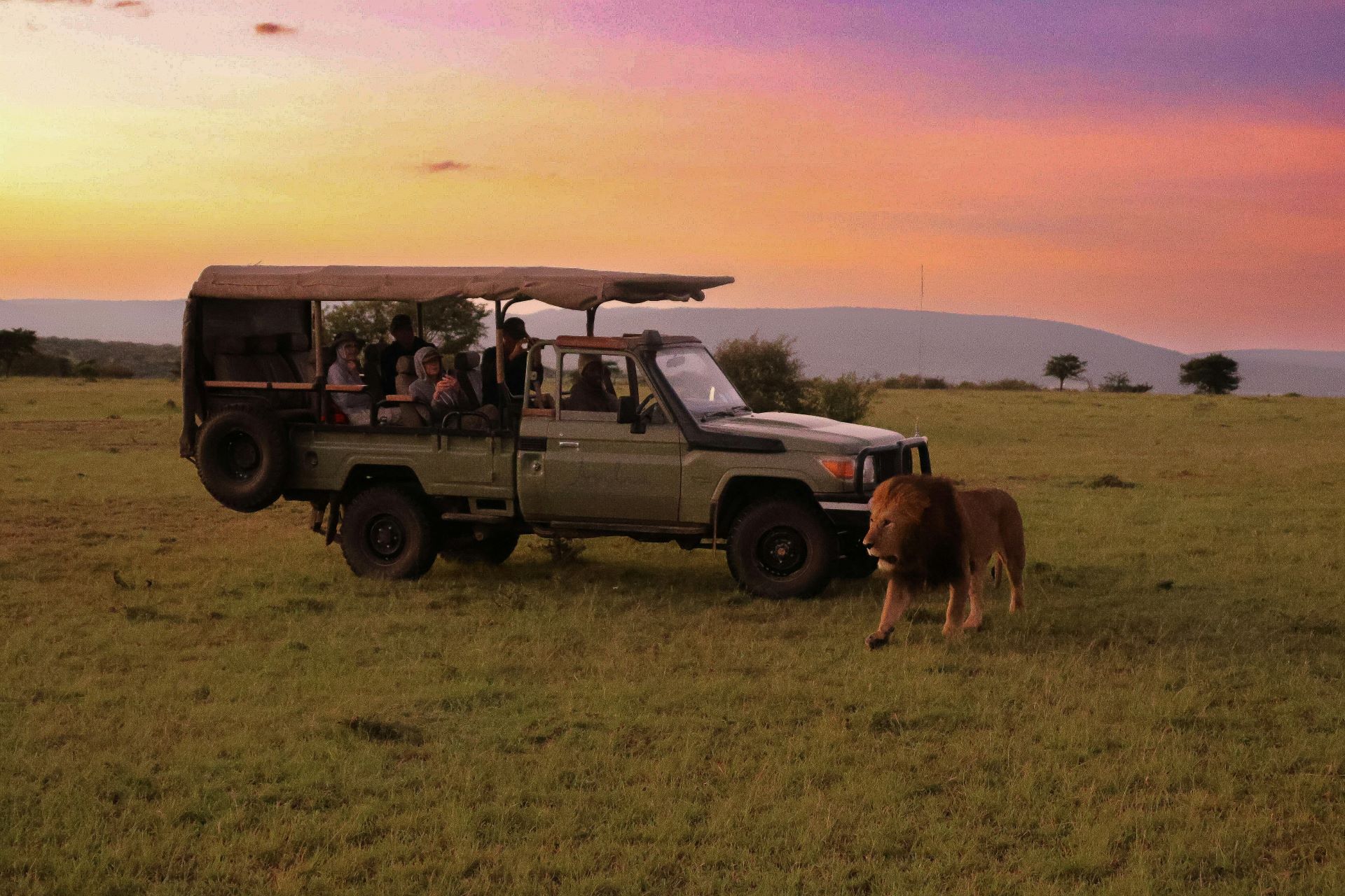 culinary-safaris-a-journey-through-south-africas-evolving-flavours-2.jpg