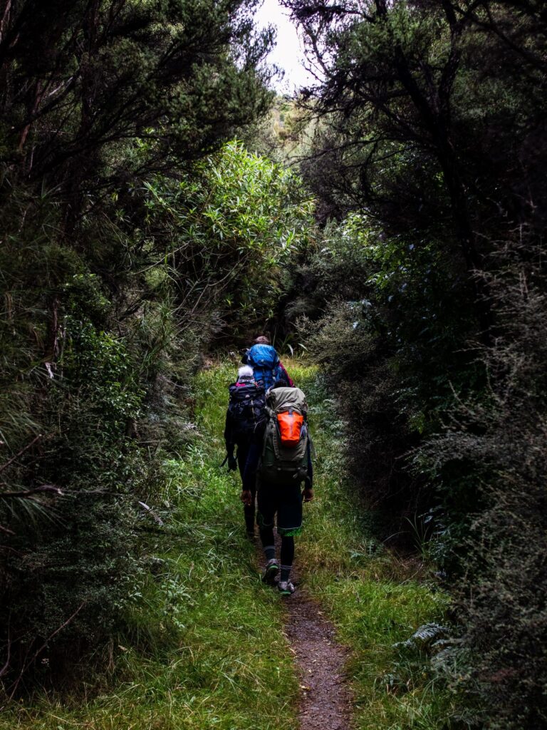 eagle-cove-trail-1-768x1024.jpg