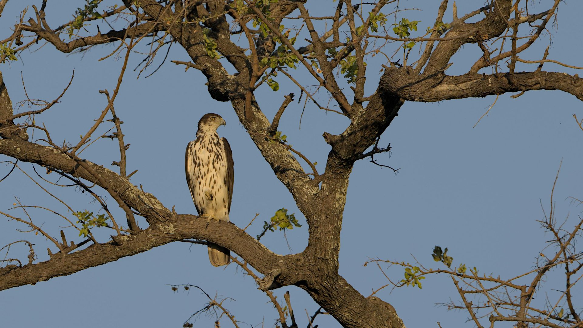 exploring-south-africas-national-parks-beyond-kruger-1