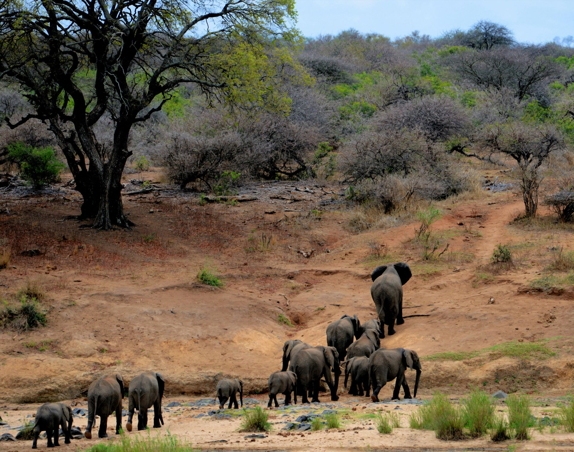 exploring-south-africas-national-parks-beyond-kruger