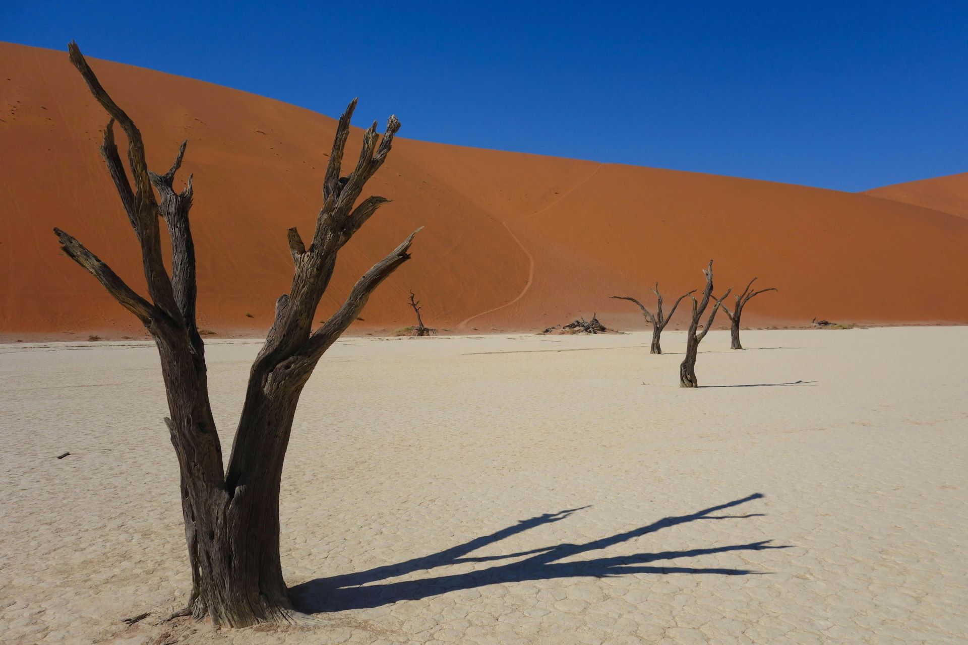 extreme-and-unique-accommodation-south-africa-like-never-before.jpg