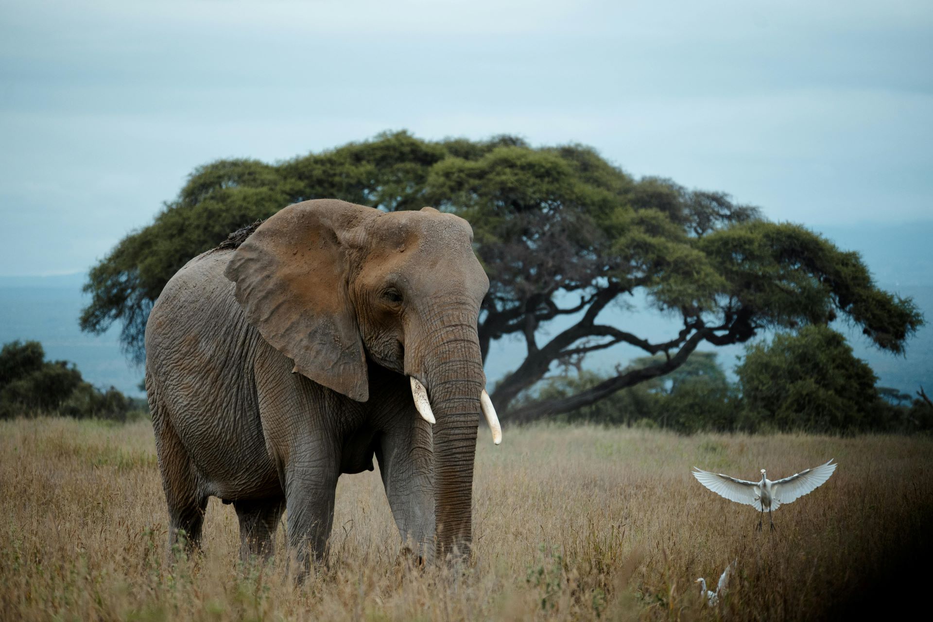 family-friendly-travel-in-south-africa-top-destinations-and-activities-for-all-ages-2.jpg