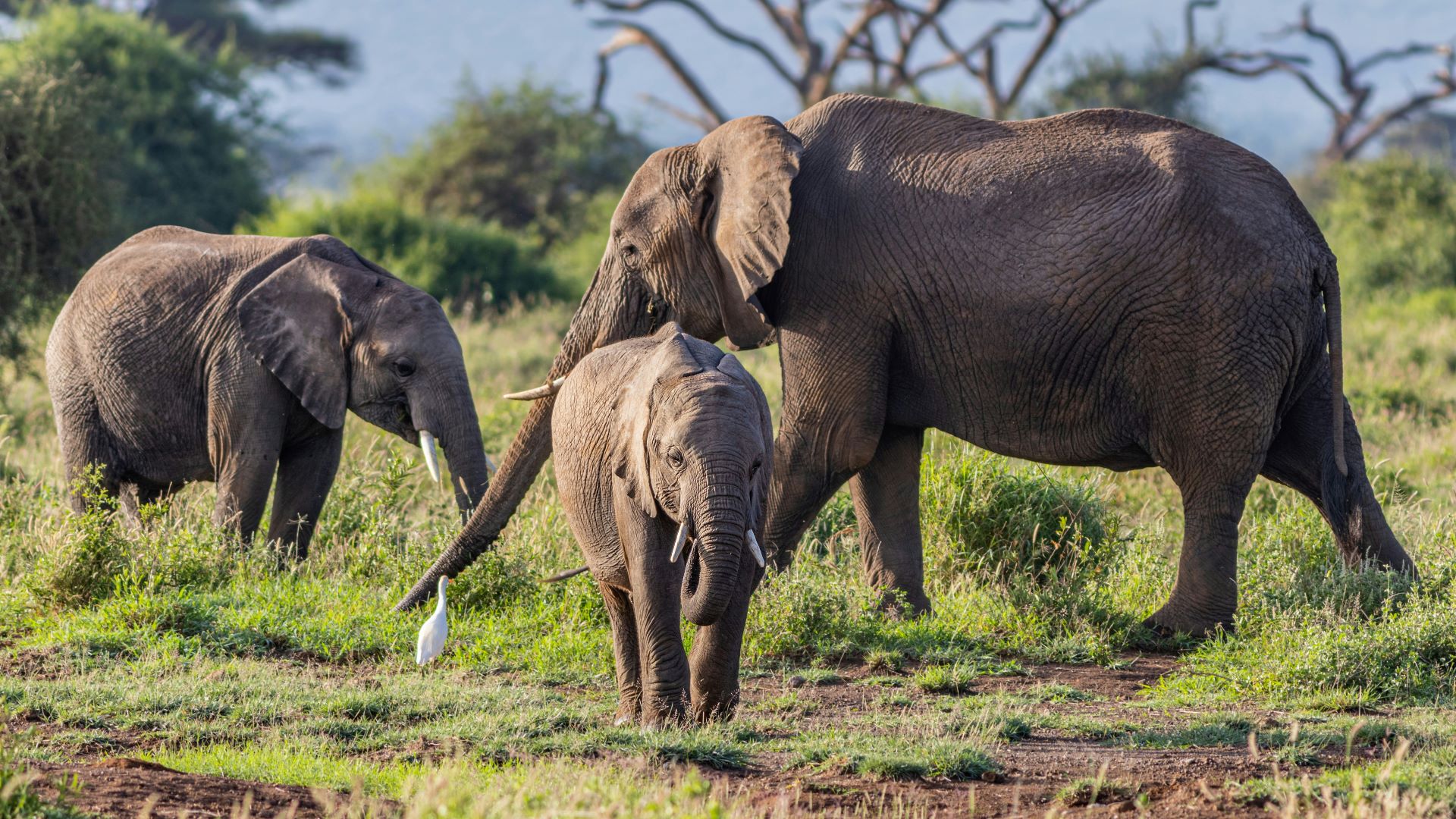 familyfriendly-fun-in-south-africa-explore-with-kids.jpg