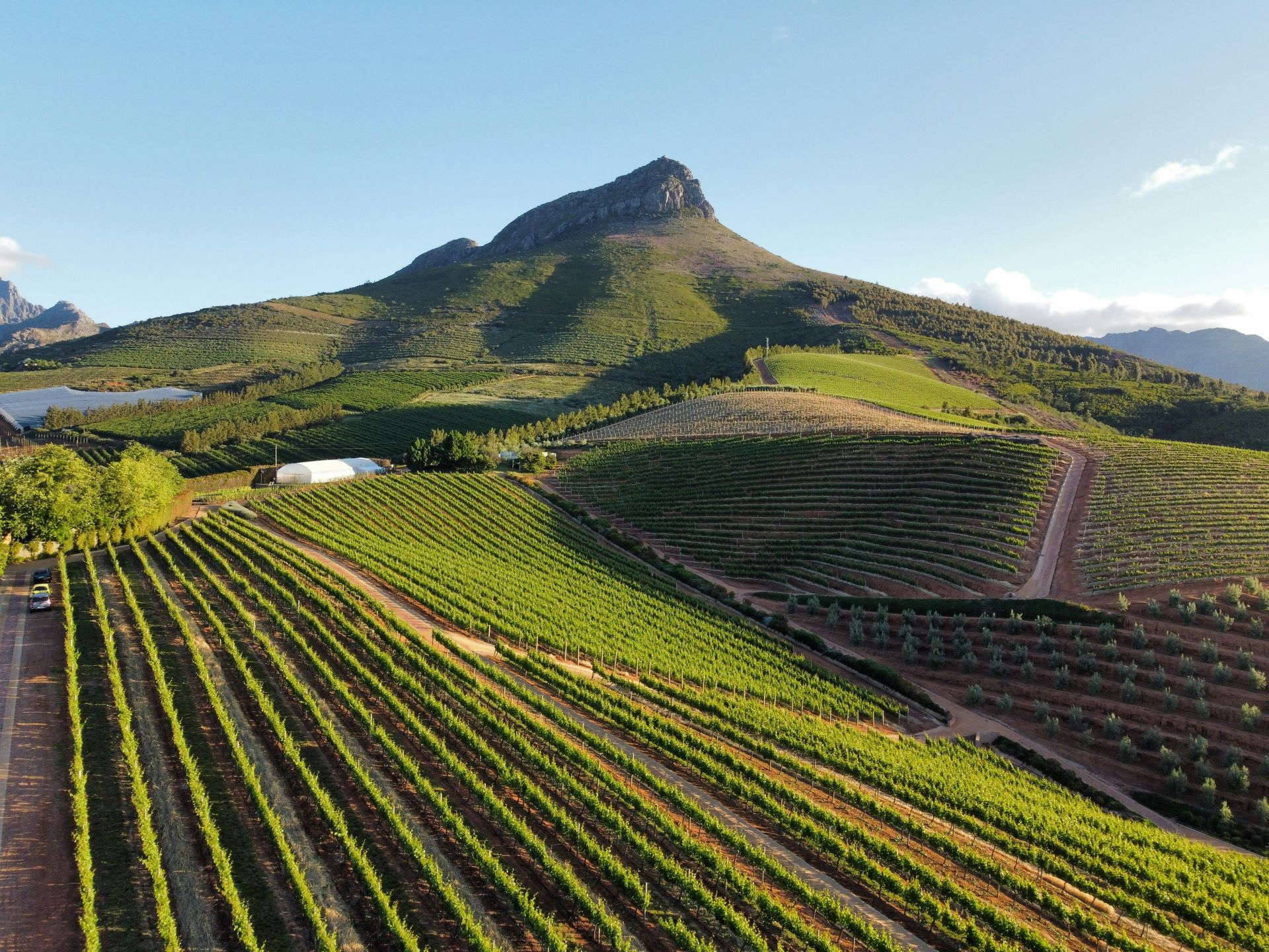 farm-to-table-tourism-and-supply-chains-in-south-africa-1
