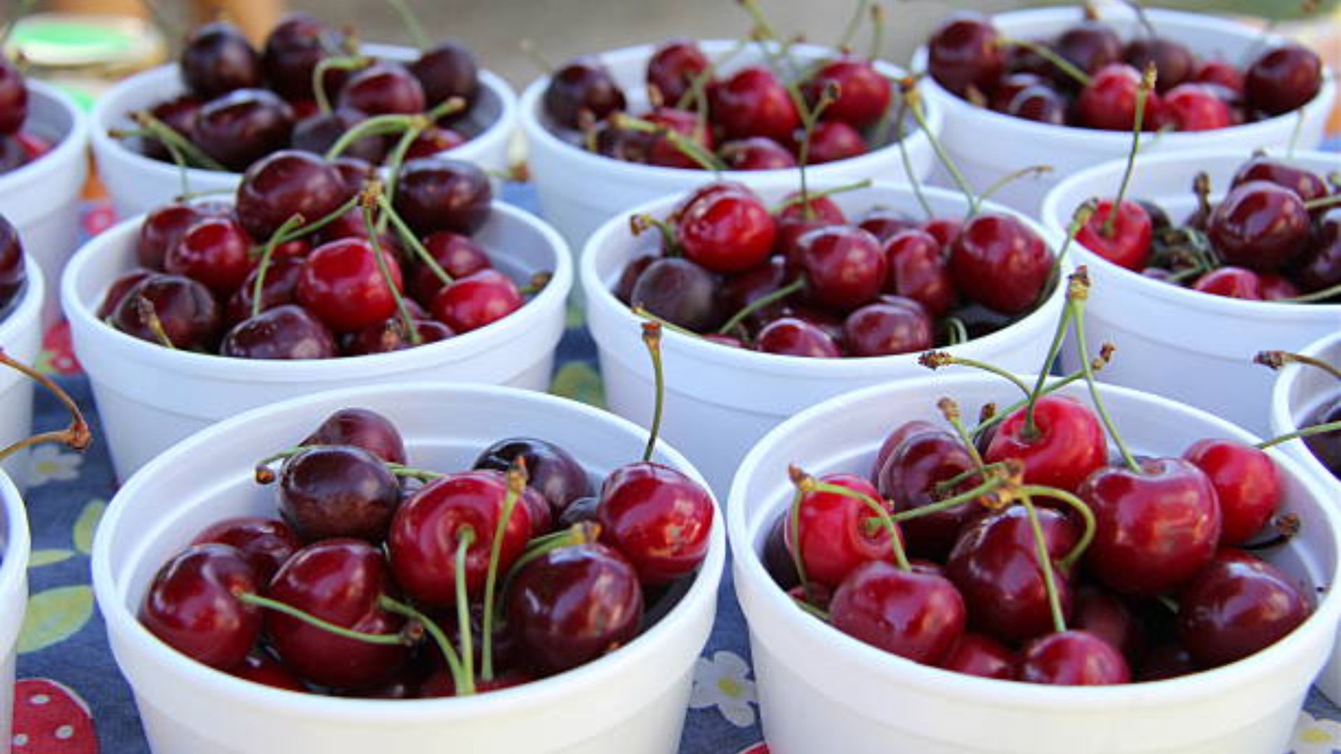 ficksburg-cherry-festival.jpg
