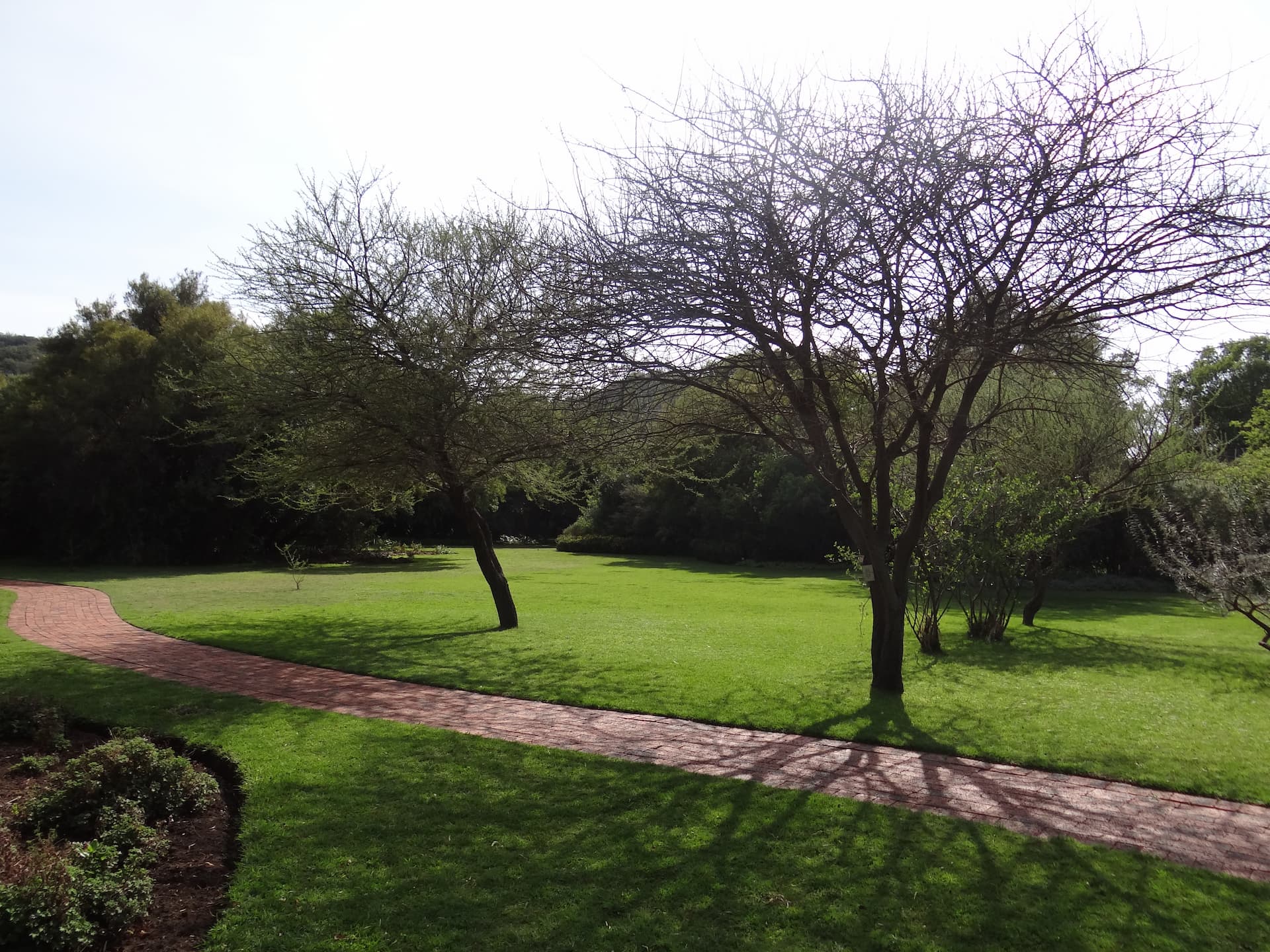 free-state-national-botanical-garden-1.jpg