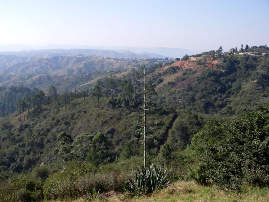 game-reserves-in-kwazulu-natal-2-1024x768.jpg