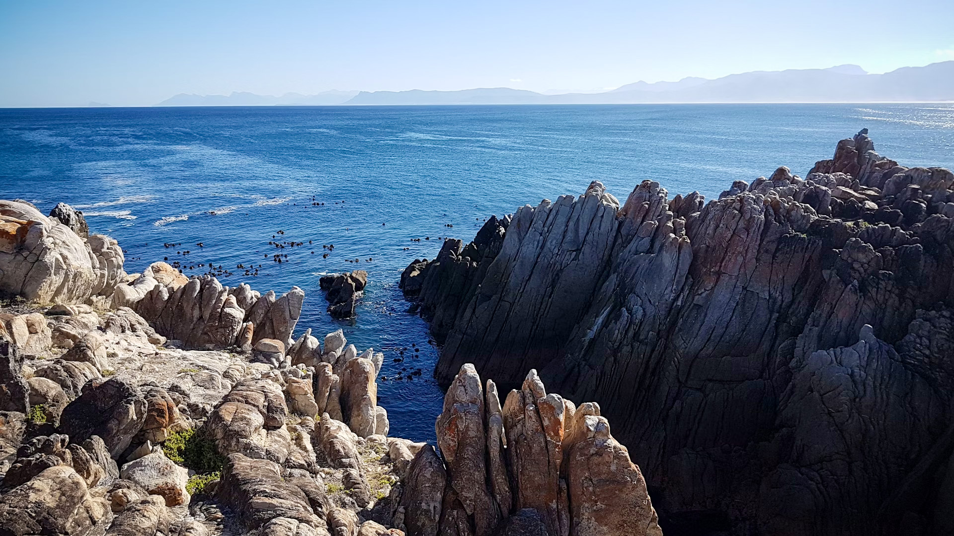 gansbaai.jpg