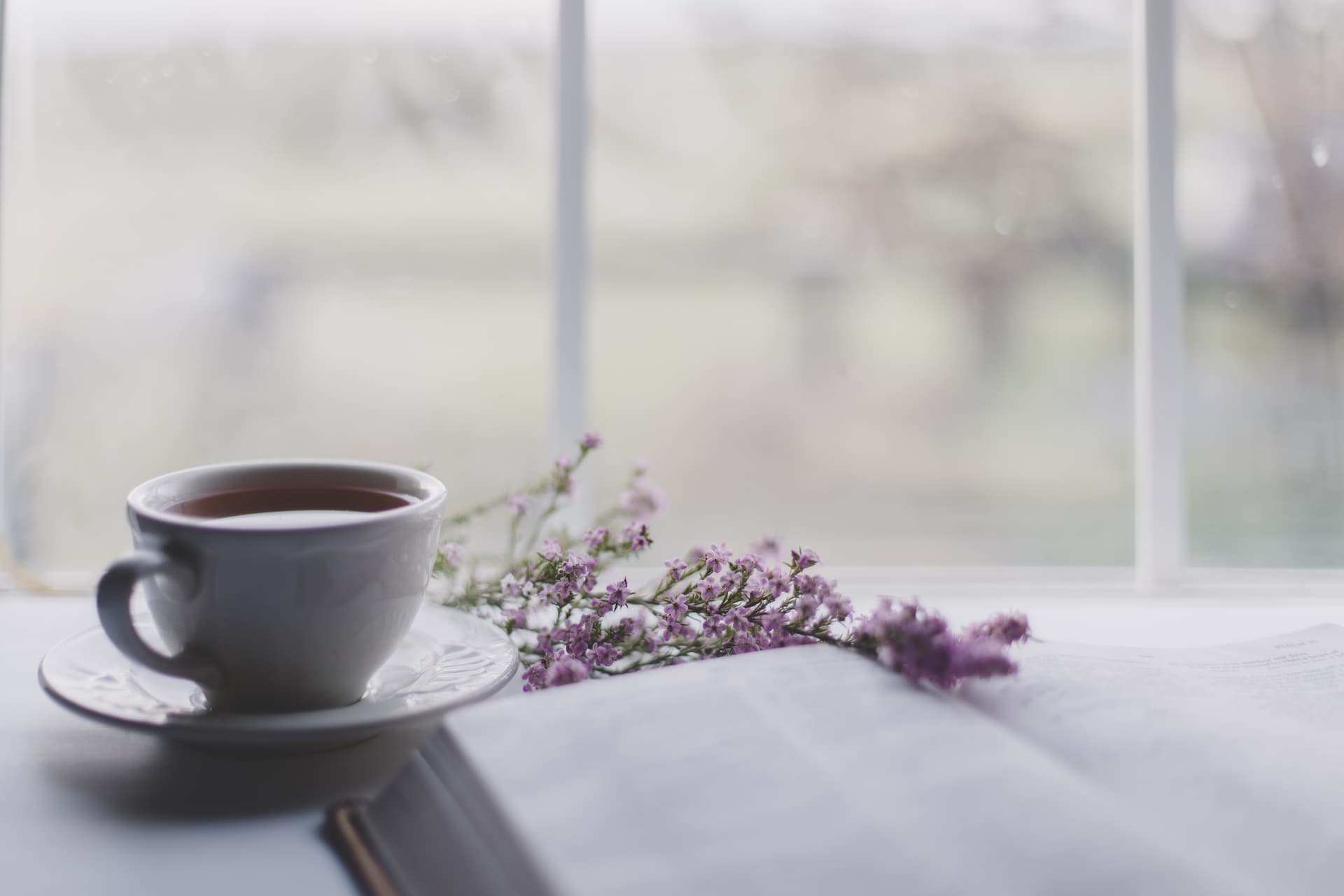 garden-world-tea-garden.jpg