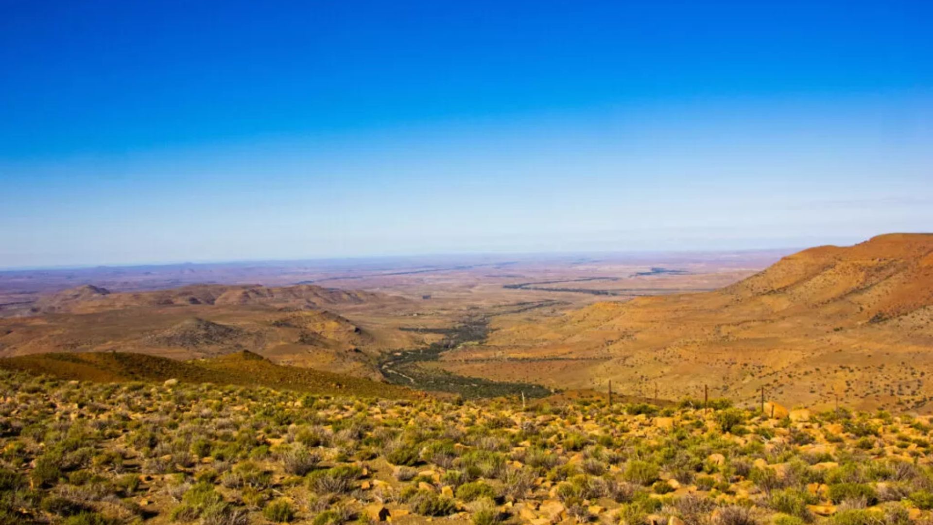 goegap-nature-reserve-1.jpg