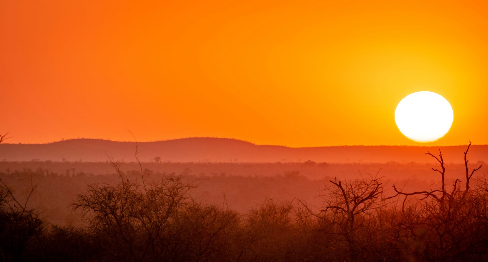 golden-horizons-south-africas-most-stunning-sunsets