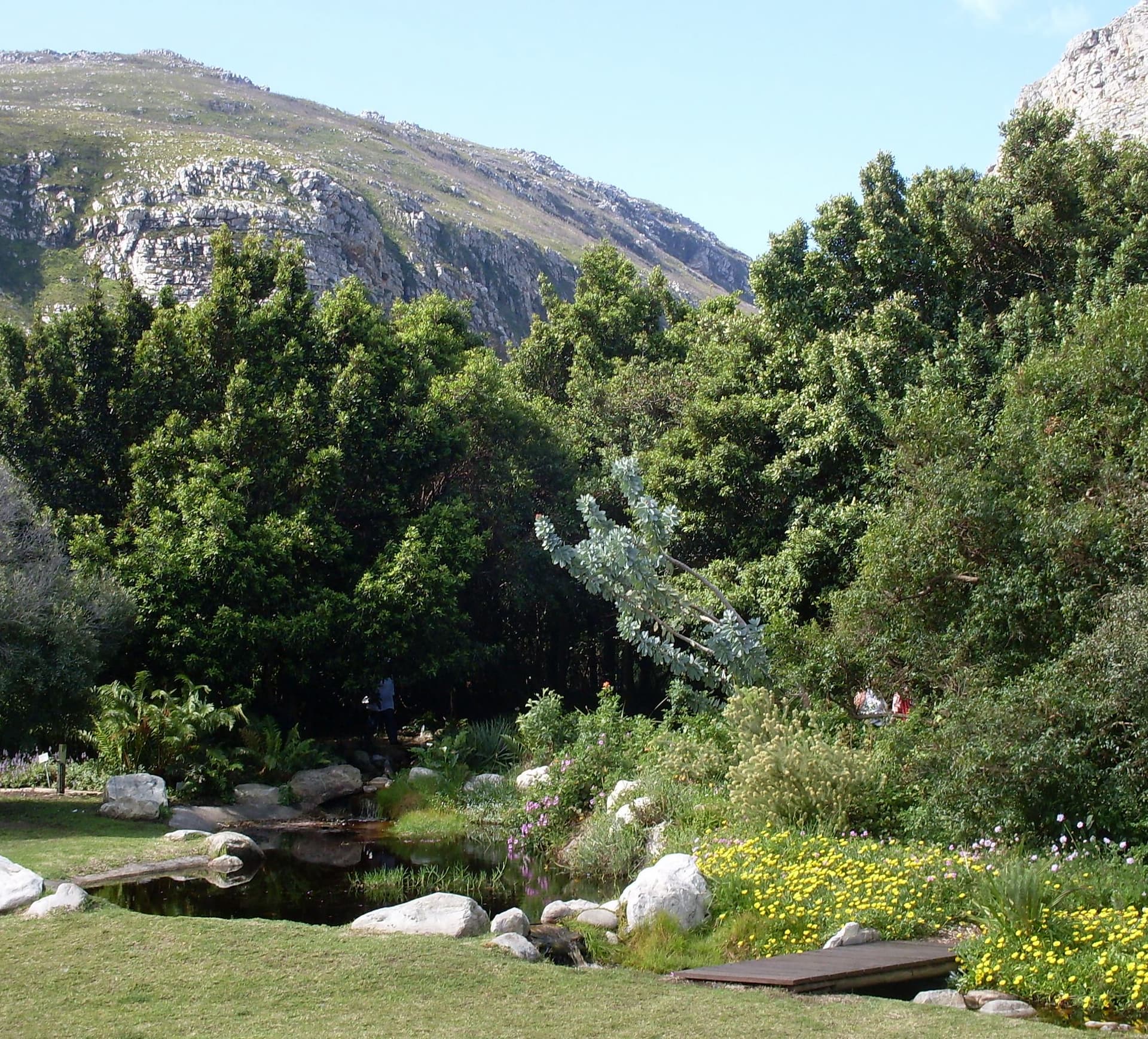 harold-porter-national-botanical-garden-1.jpg