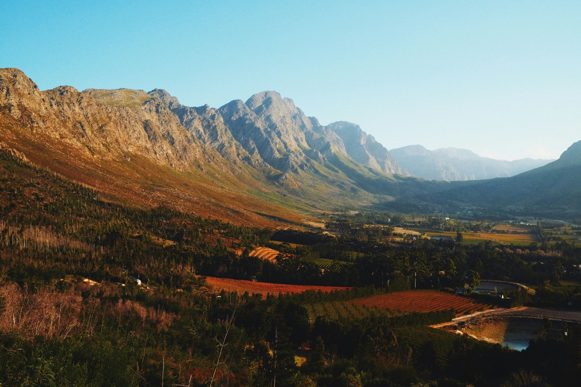 harvest-and-taste-seasonal-food-and-wine-journeys-in-south-africa-1.jpg