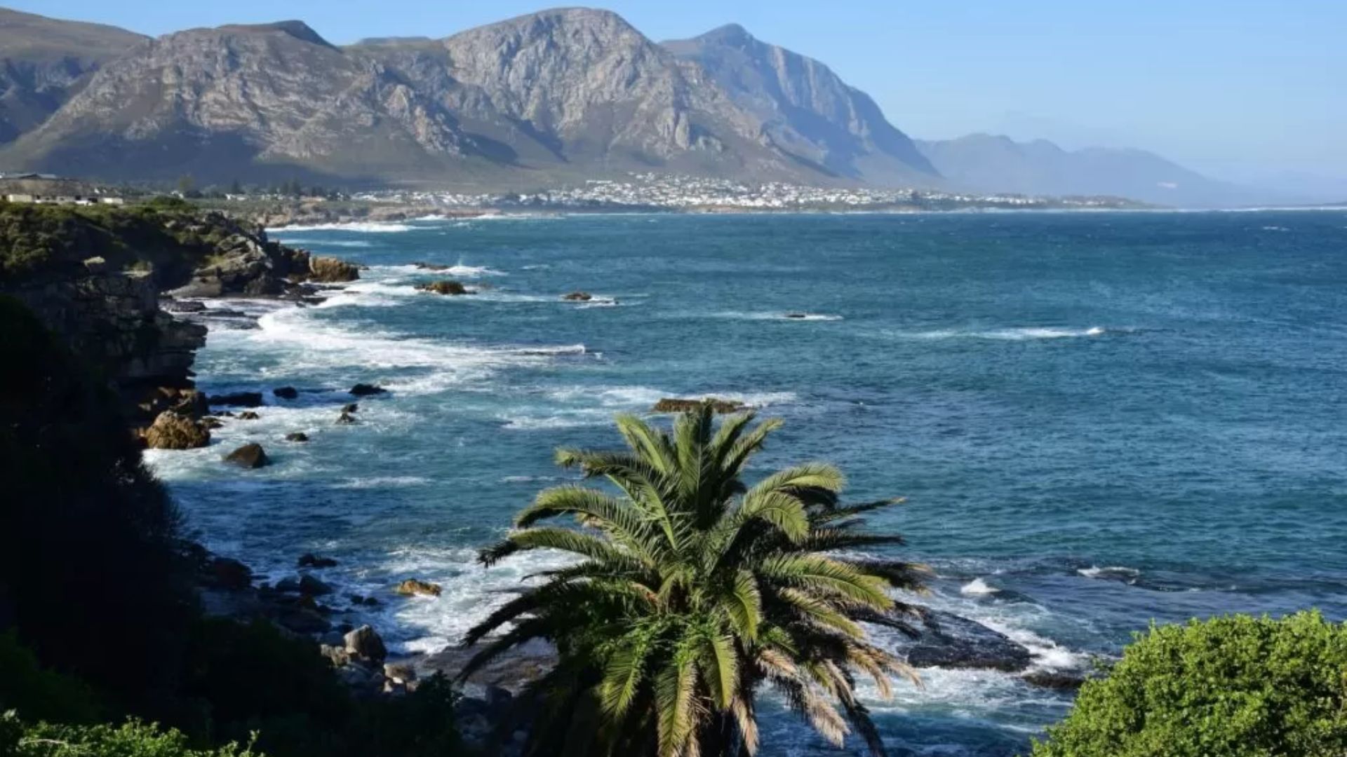 hermanus.jpg