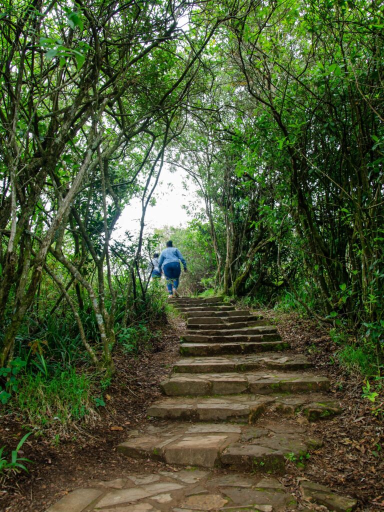 hiking-in-mpulanga-3-768x1024.jpg