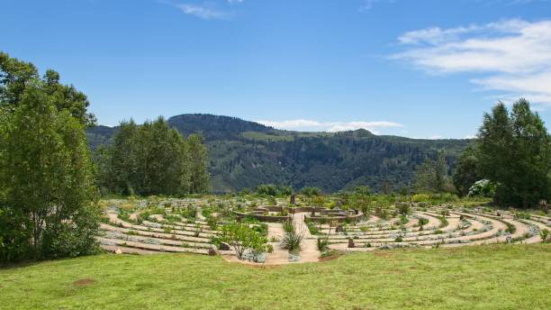 hogsback.jpg