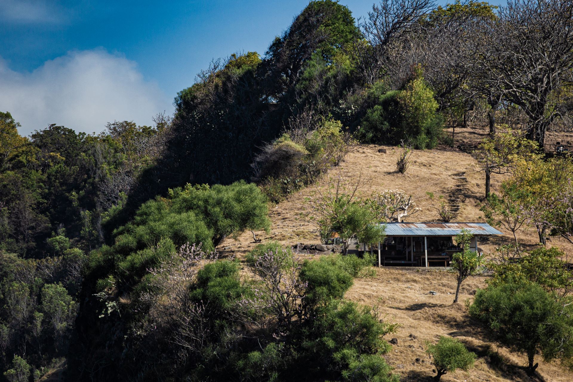 how-south-african-mining-towns-became-tourism-destinations