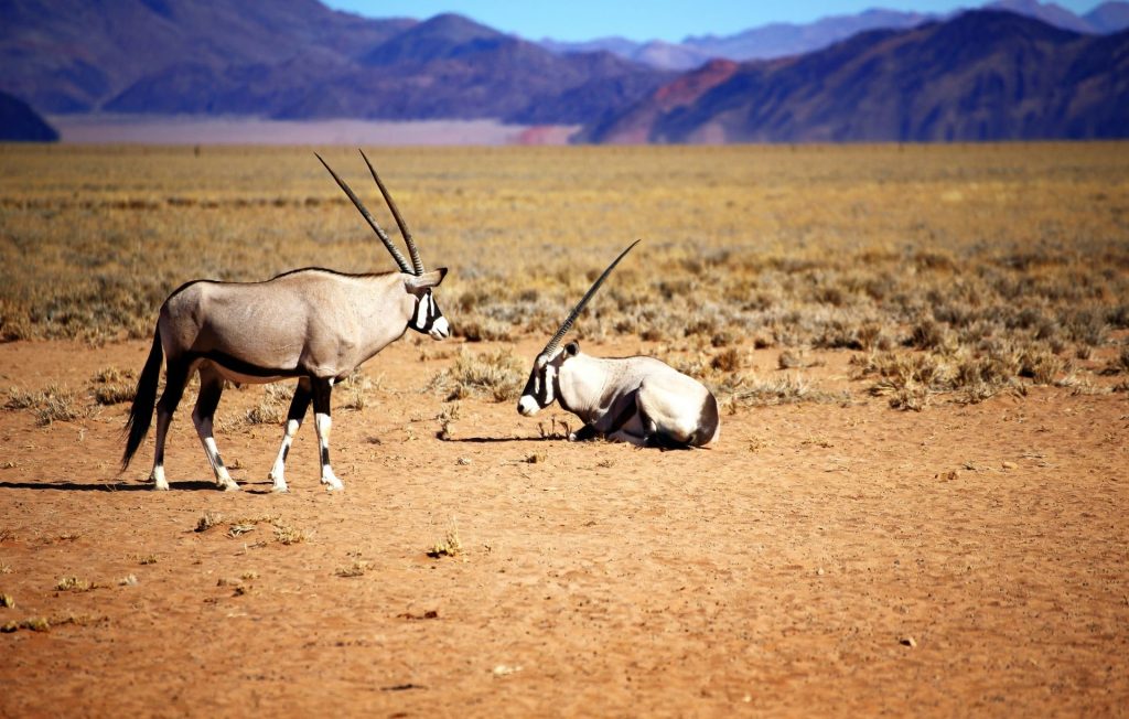j-a-k-strydom-reserve-eastern-cape-1024x652.jpg