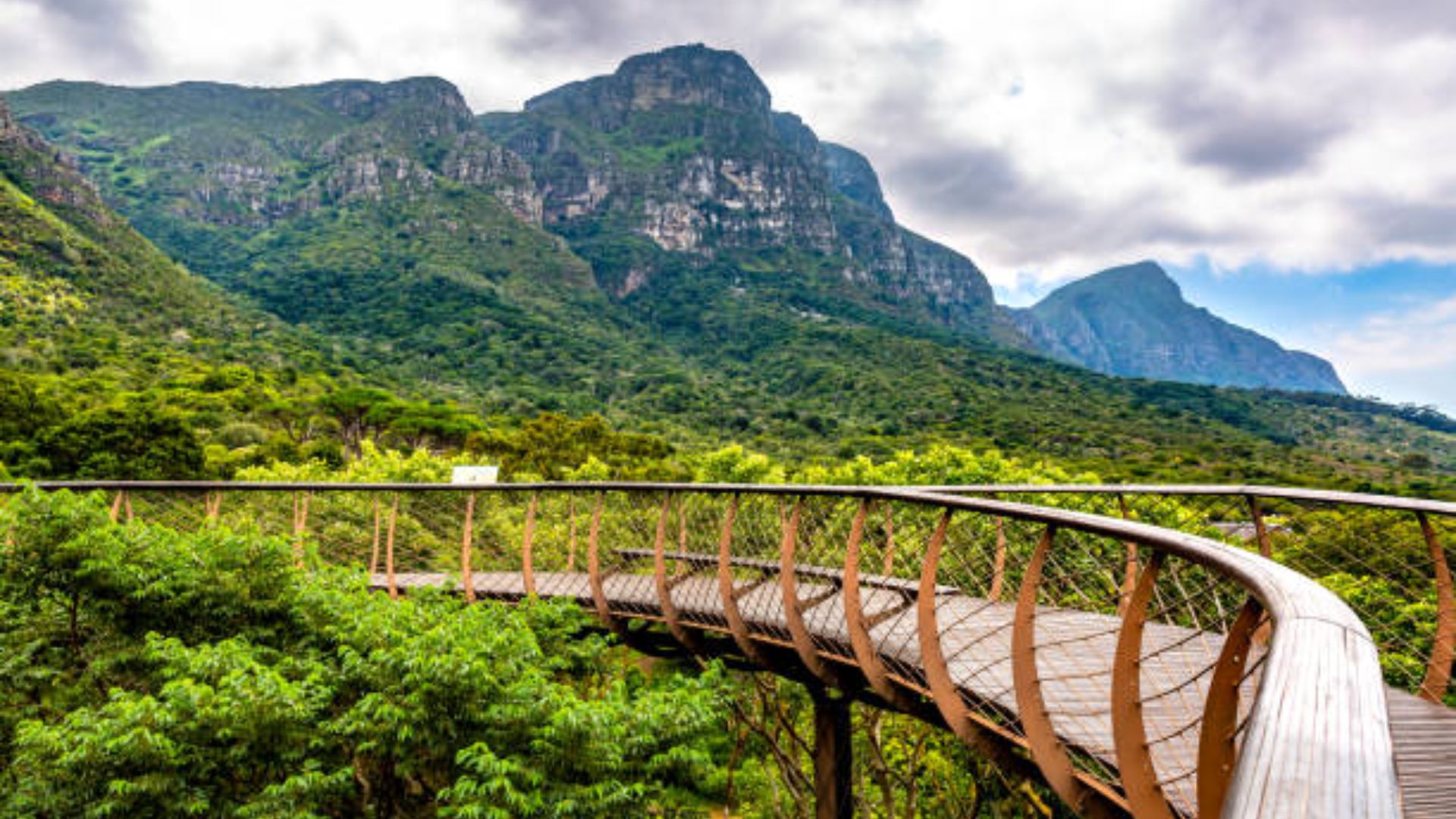 kirstenbosch-national-botanical-garden-1.jpg