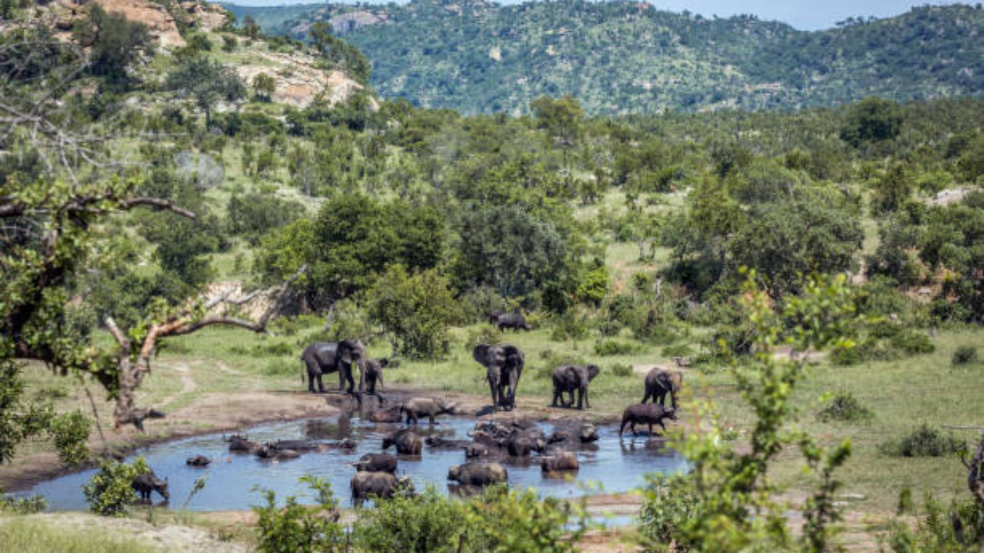 kruger-national-park-3.jpg
