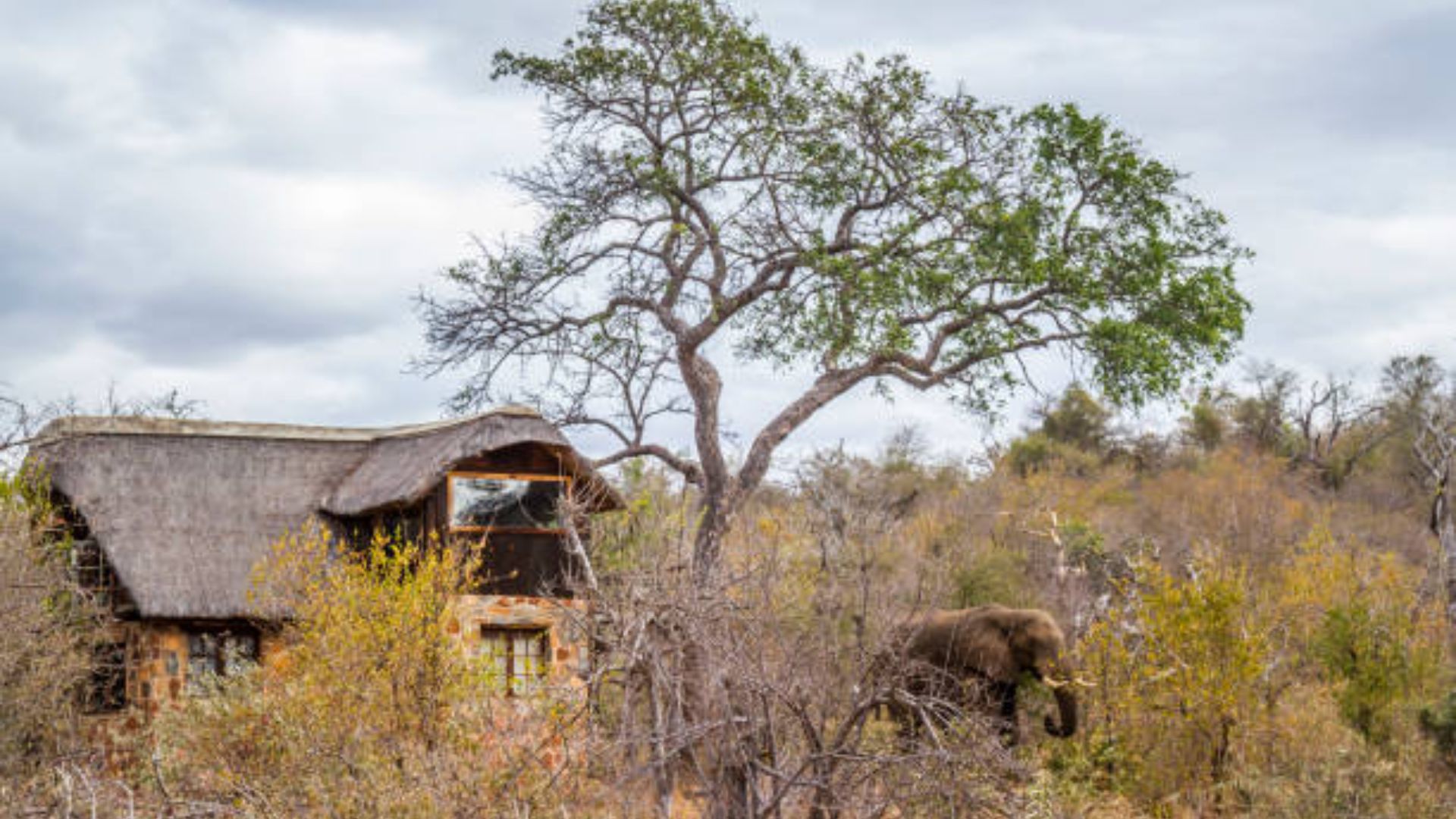 kruger-national-park-lodges.jpg