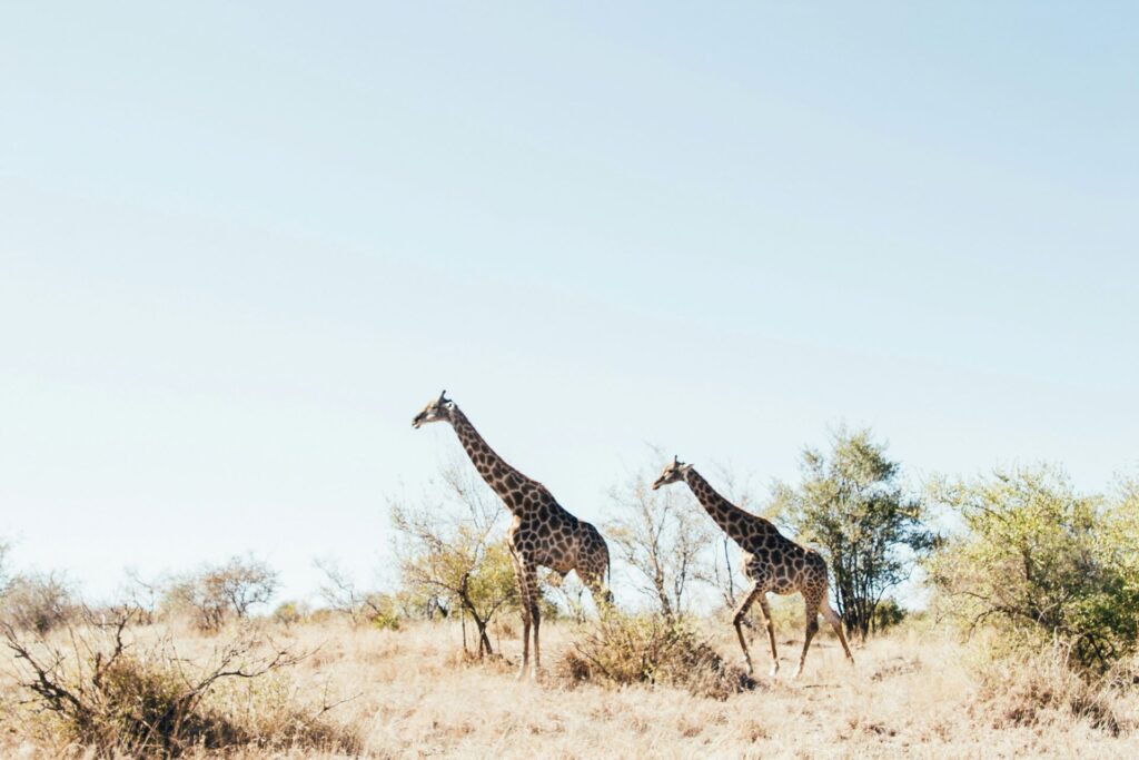 local-is-lekker-sa-travel-experiences-that-beat-going-abroad-2-1024x683.jpg