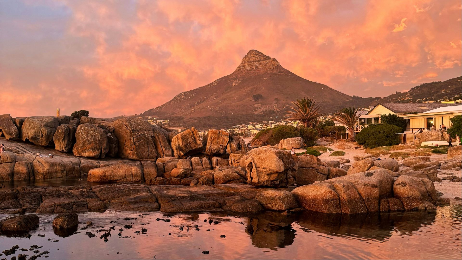 luxury-lodges-south-africas-ultimate-safari-coastal-retreats